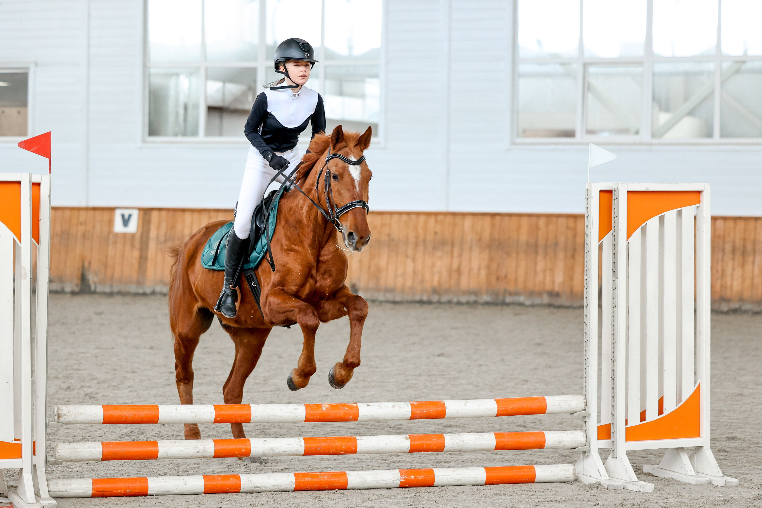 КСК КОНКОРД 22.02. Фотограф Баринова Полина
