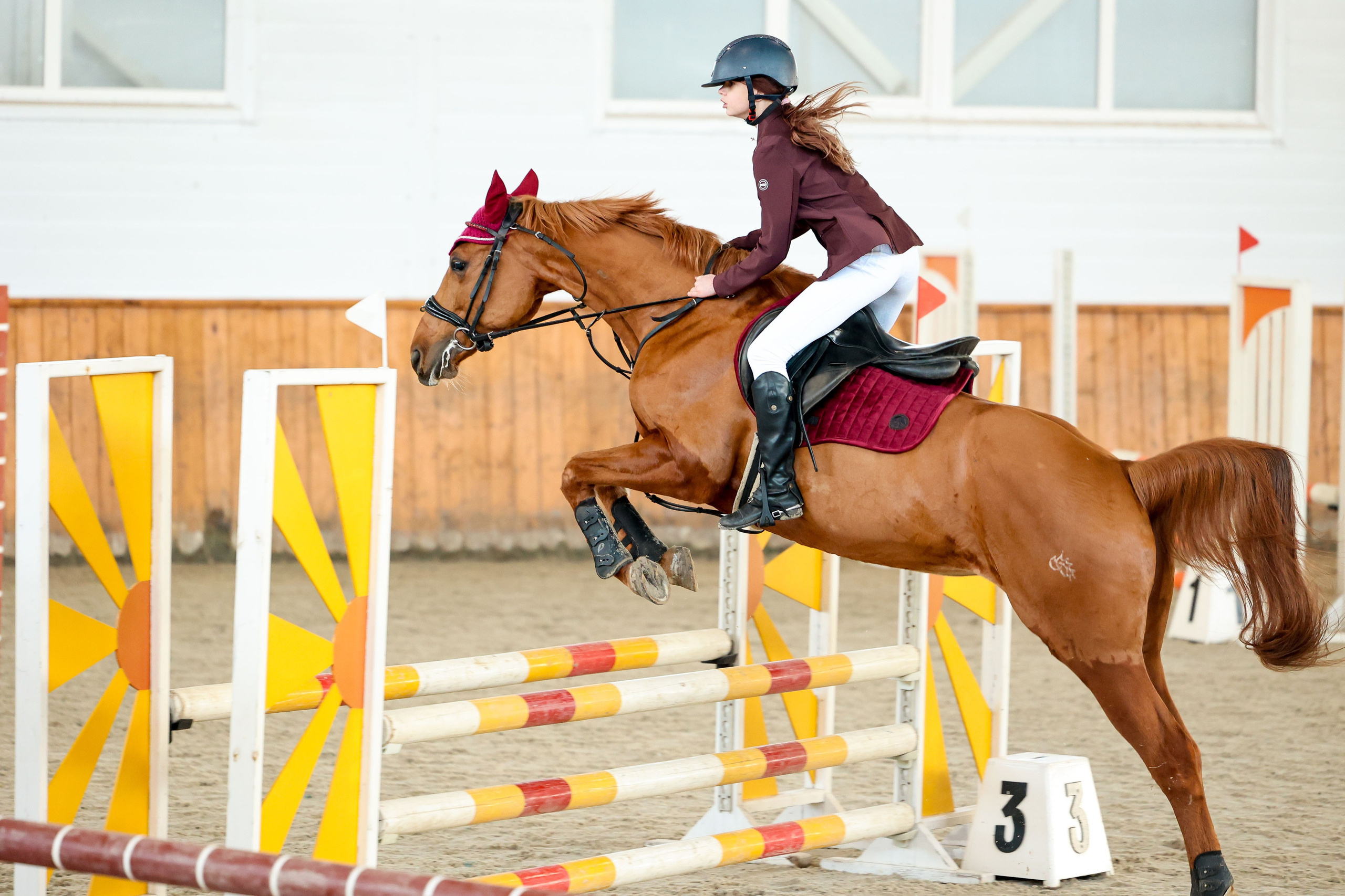 КСК КОНКОРД 31.01. Фотограф Баринова Полина
