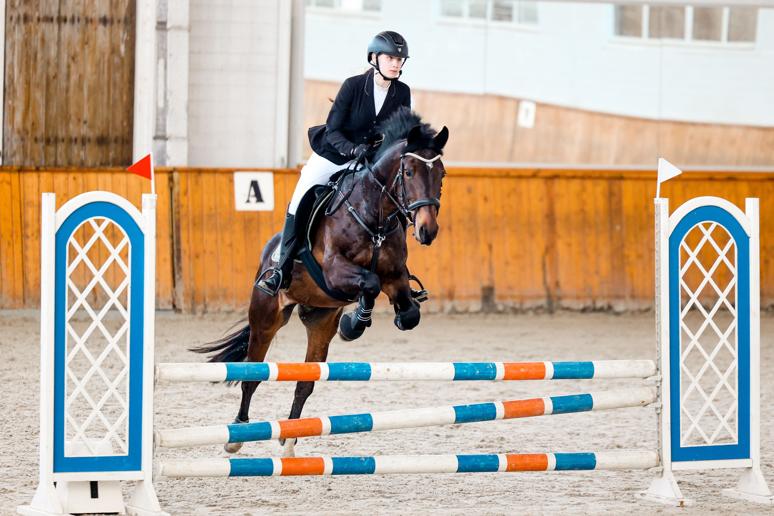 КСК КОНКОРД 15.03. Фотограф Баринова Полина