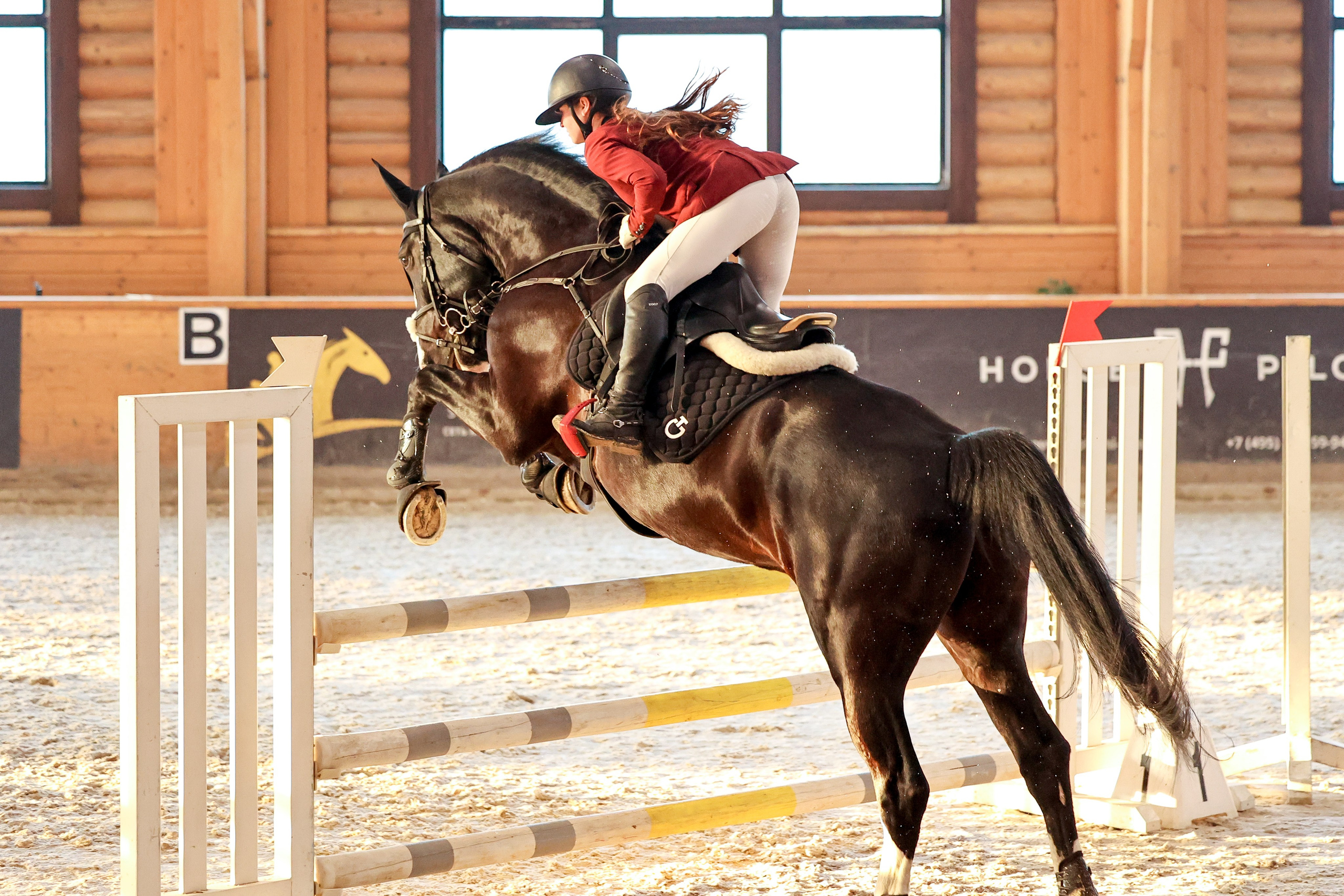 КСК ПЕГАС 25.01. Фотограф Баринова Полина