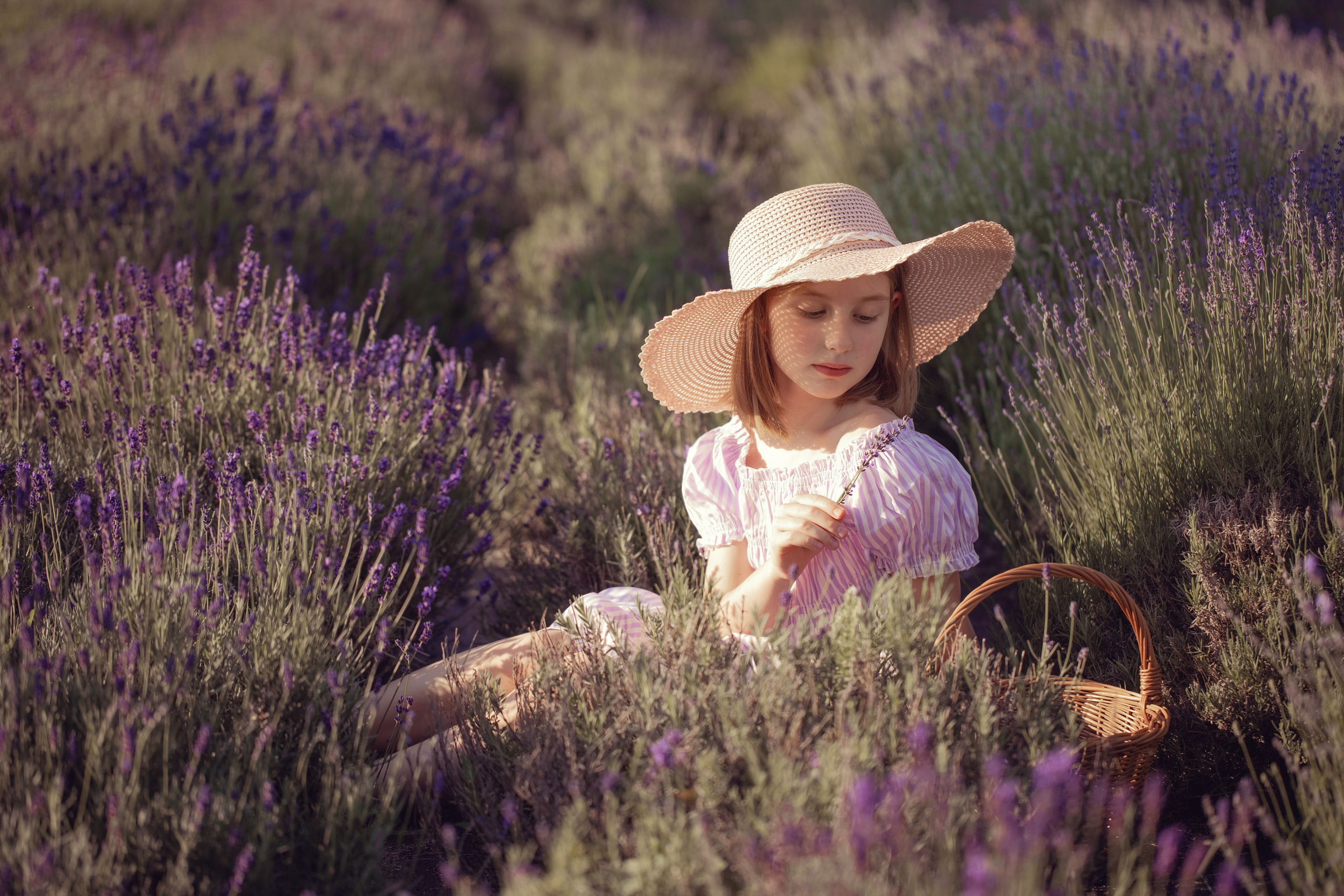 Лавандовая сказка. Семейный фотограф в Калининграде Надежда Гриднева