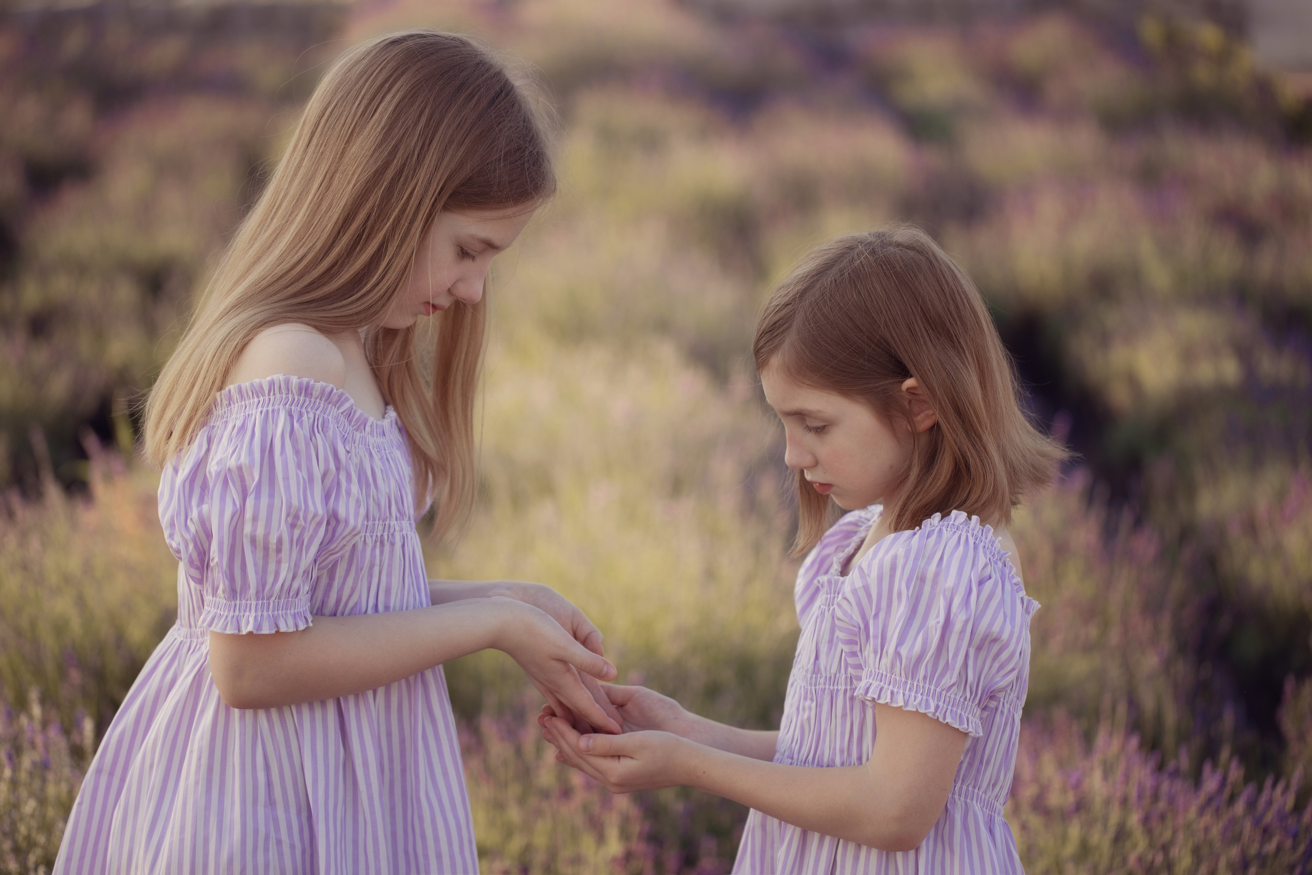 Лавандовая сказка. Семейный фотограф в Калининграде Надежда Гриднева