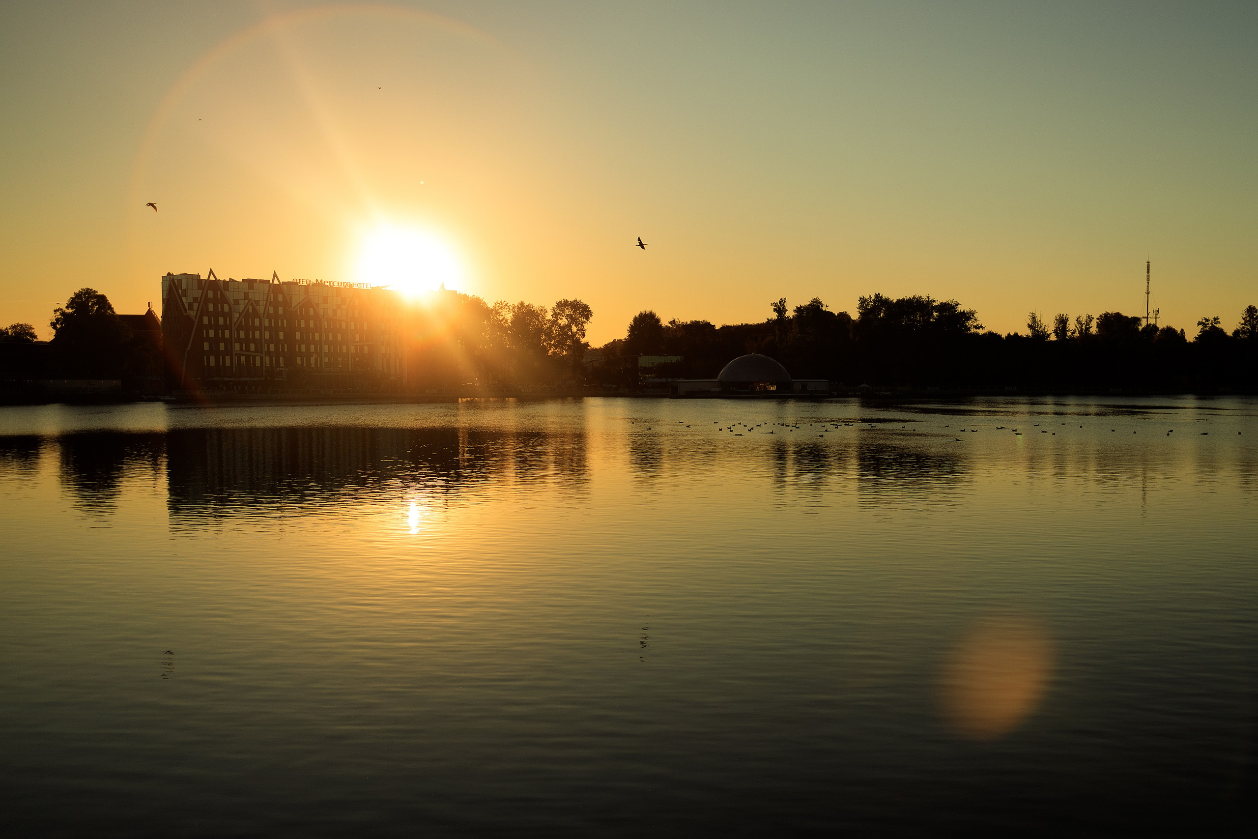 5 причин провести осеннюю съёмку на природе. Семейный фотограф в Калининграде Надежда Гриднева