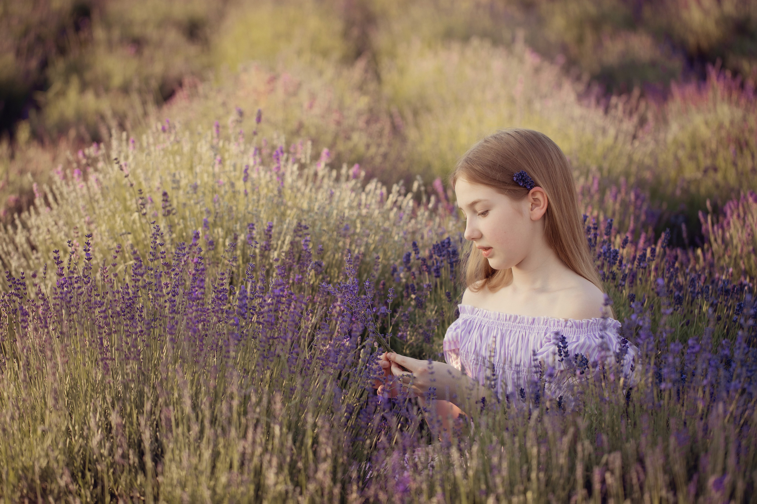 Лавандовая сказка. Семейный фотограф в Калининграде Надежда Гриднева