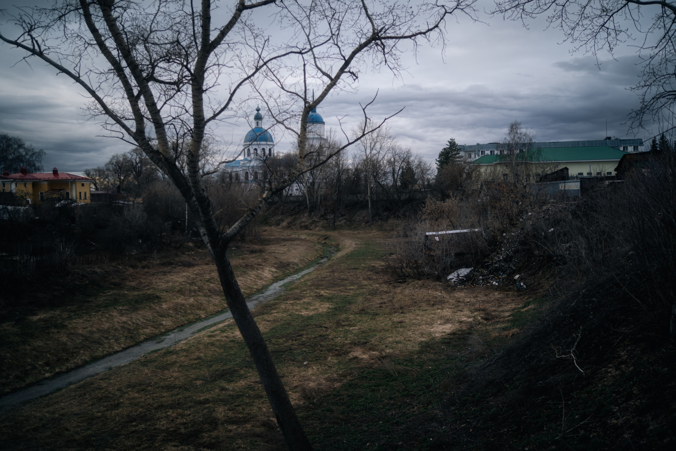 Доминант ландшафта. Felixtones