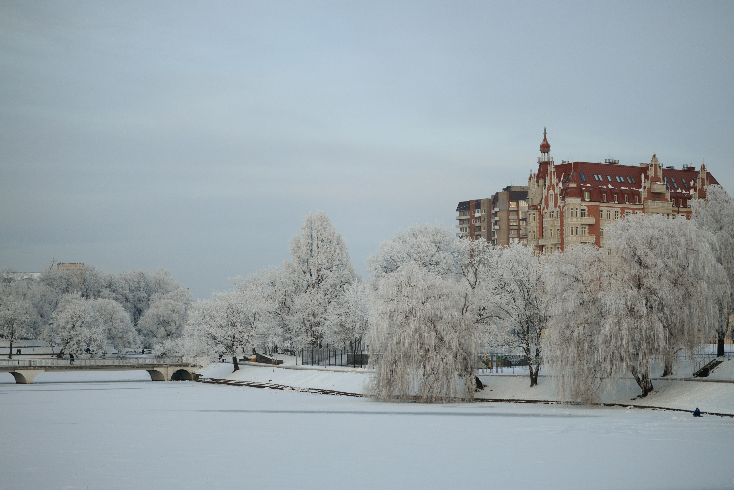 15 ингредиентов: мой рецепт уютного февраля. Семейный фотограф в Калининграде Надежда Гриднева