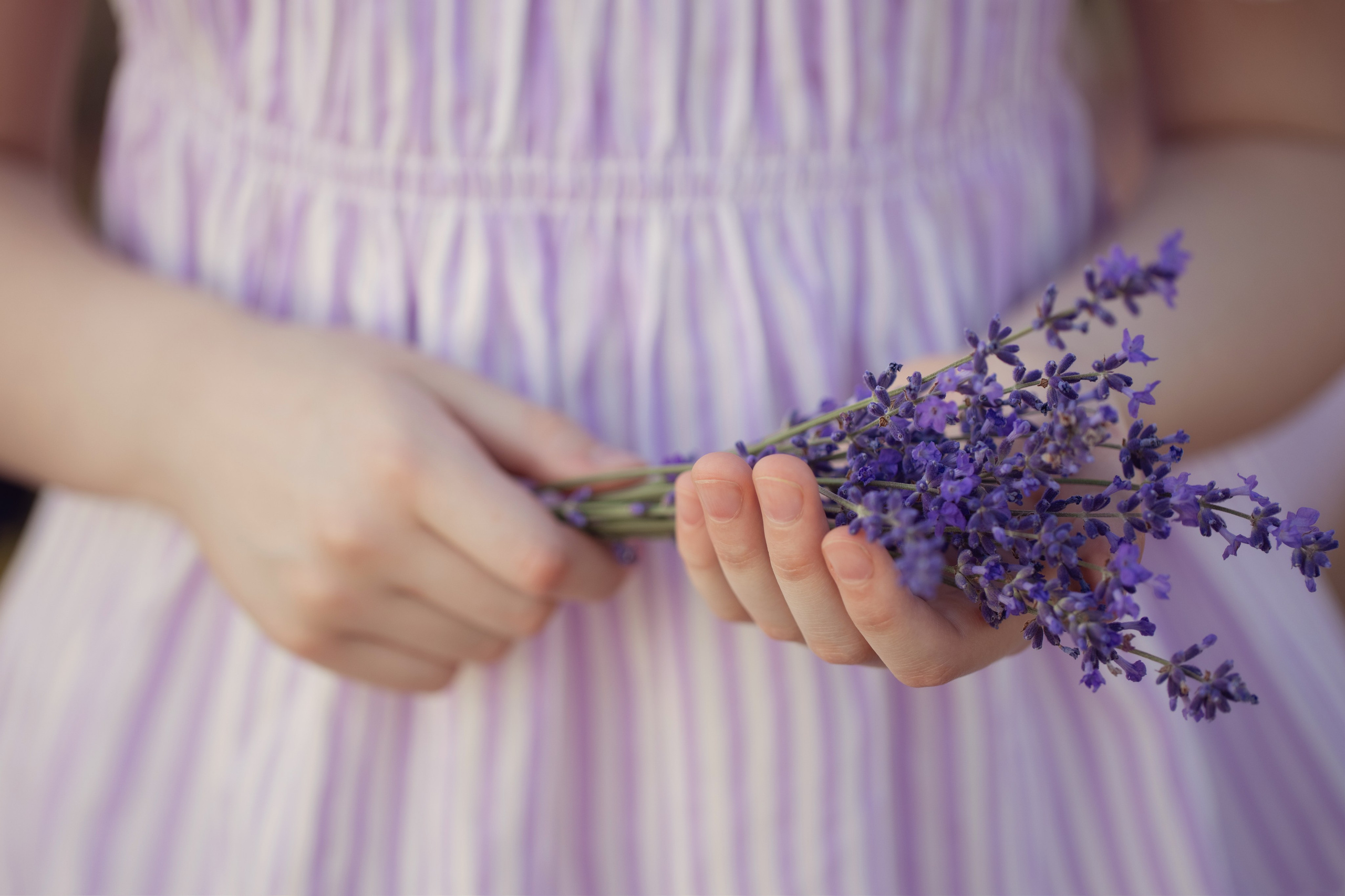 Лавандовая сказка. Семейный фотограф в Калининграде Надежда Гриднева