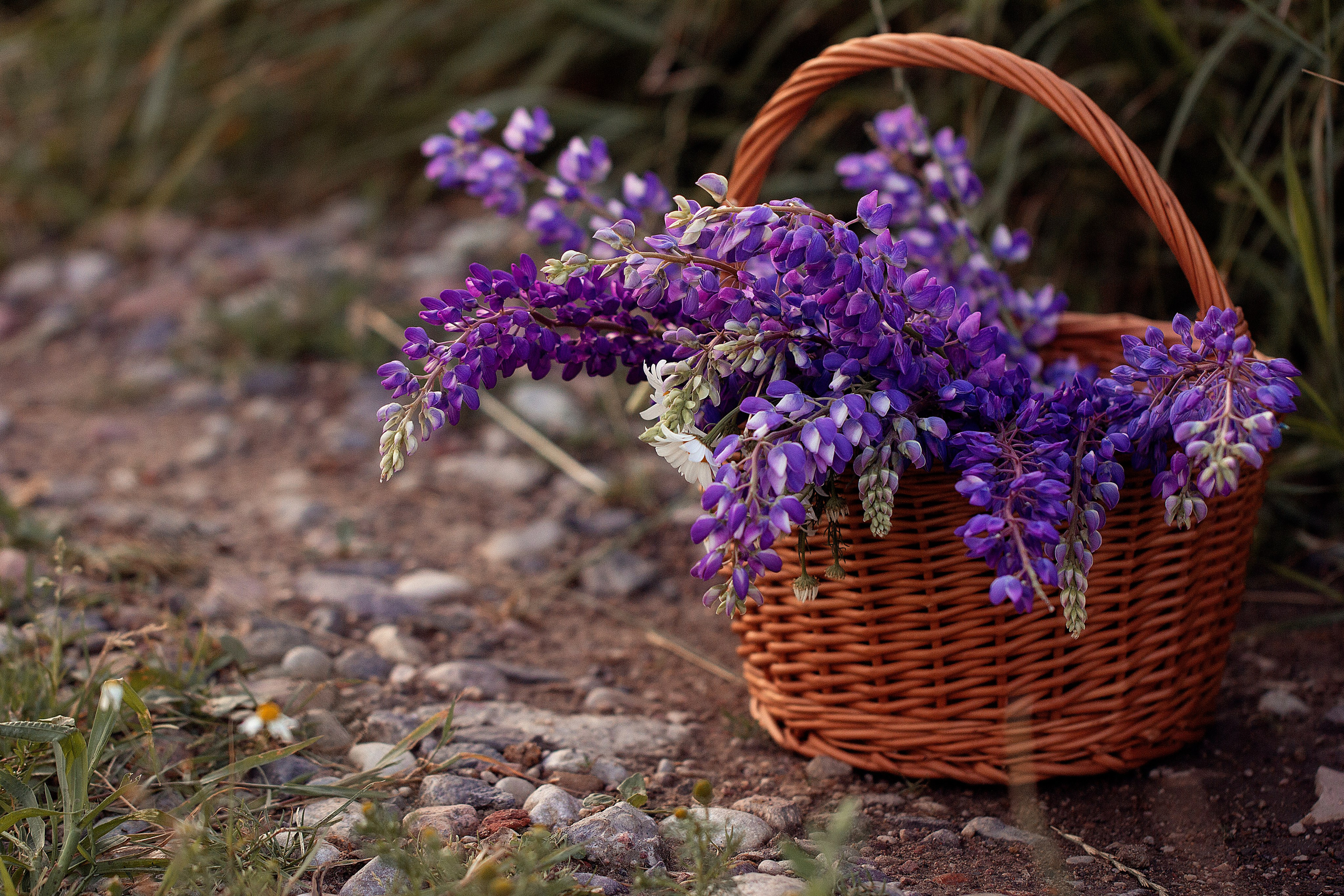 5 главных секретов идеальной семейной фотосессии. Семейный фотограф в Калининграде Надежда Гриднева