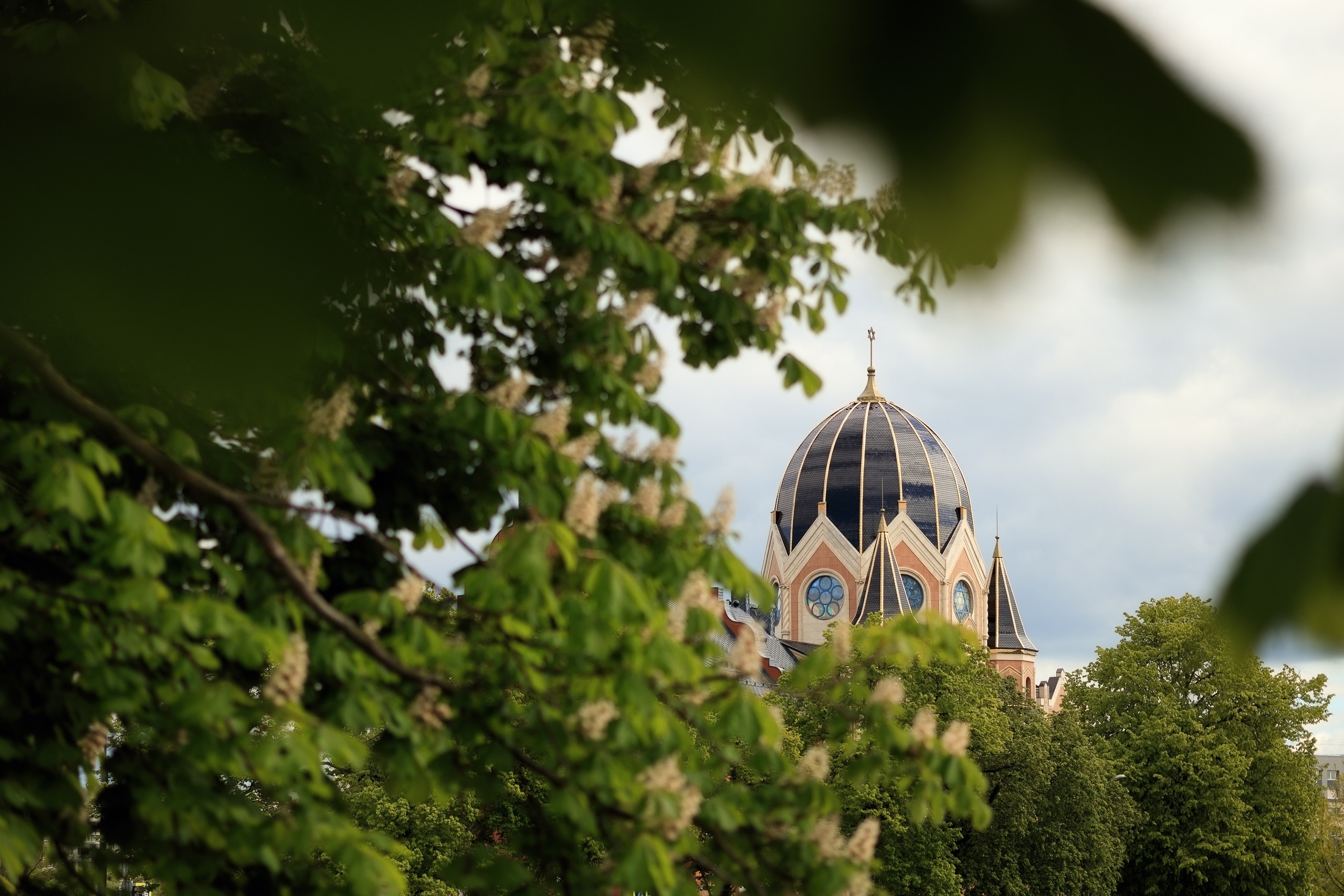 Королевство цветущих каштанов. Семейный фотограф в Калининграде Надежда Гриднева