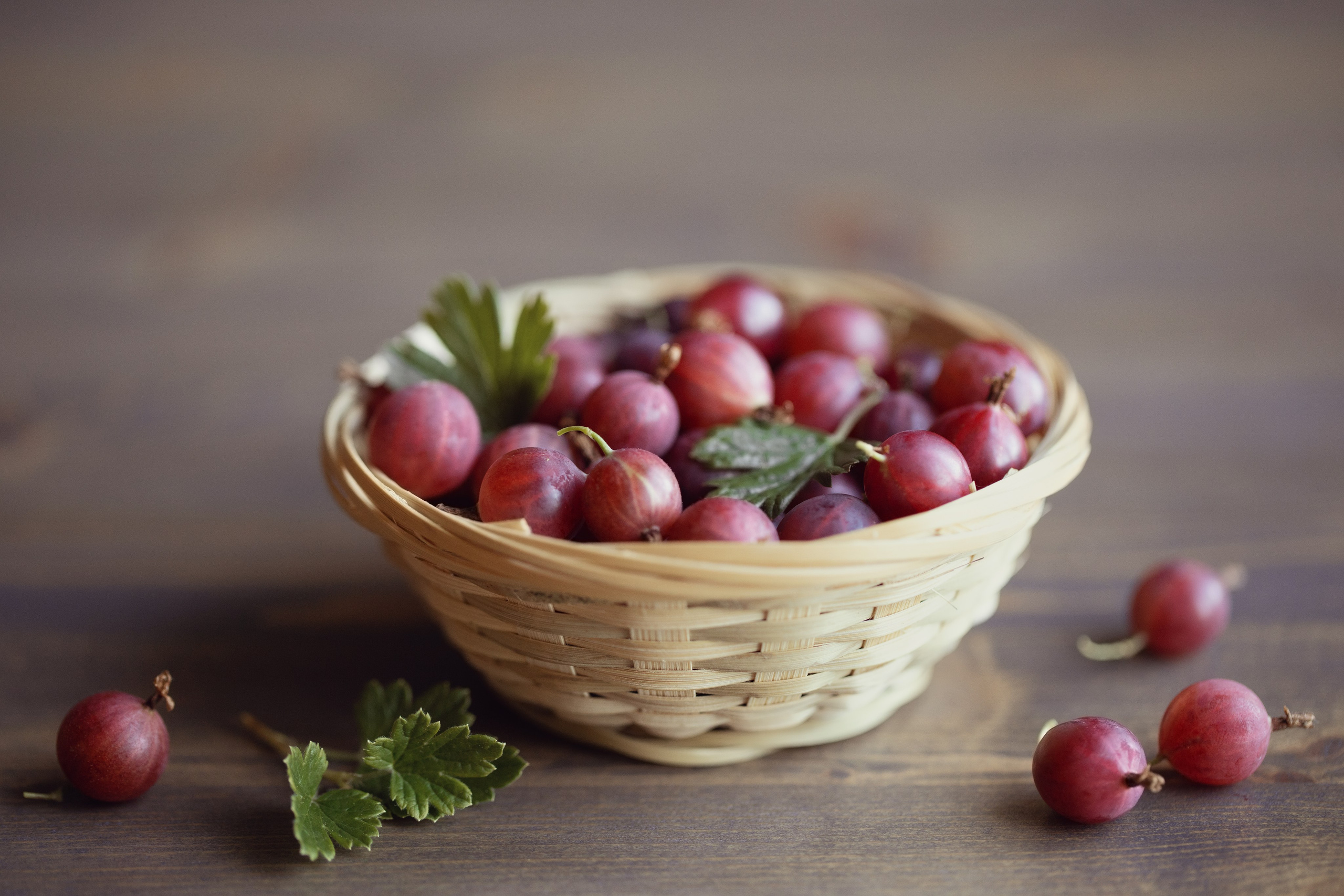 Здравствуй, август!. Семейный фотограф в Калининграде Надежда Гриднева