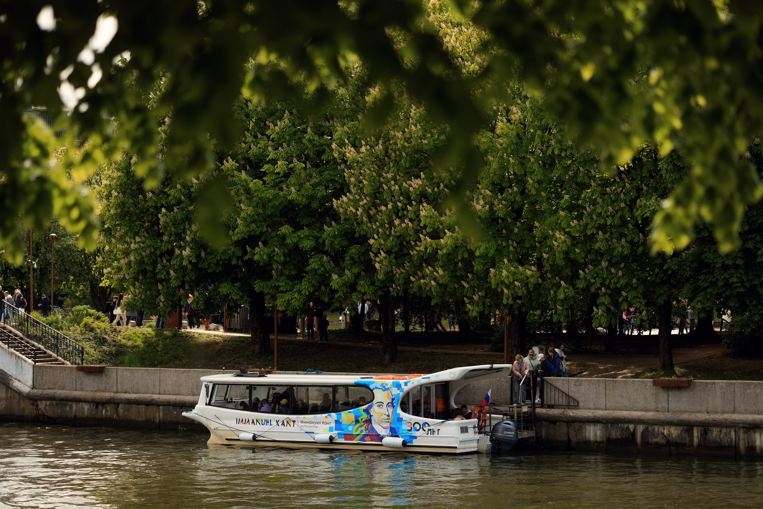 Королевство цветущих каштанов. Семейный фотограф в Калининграде Надежда Гриднева