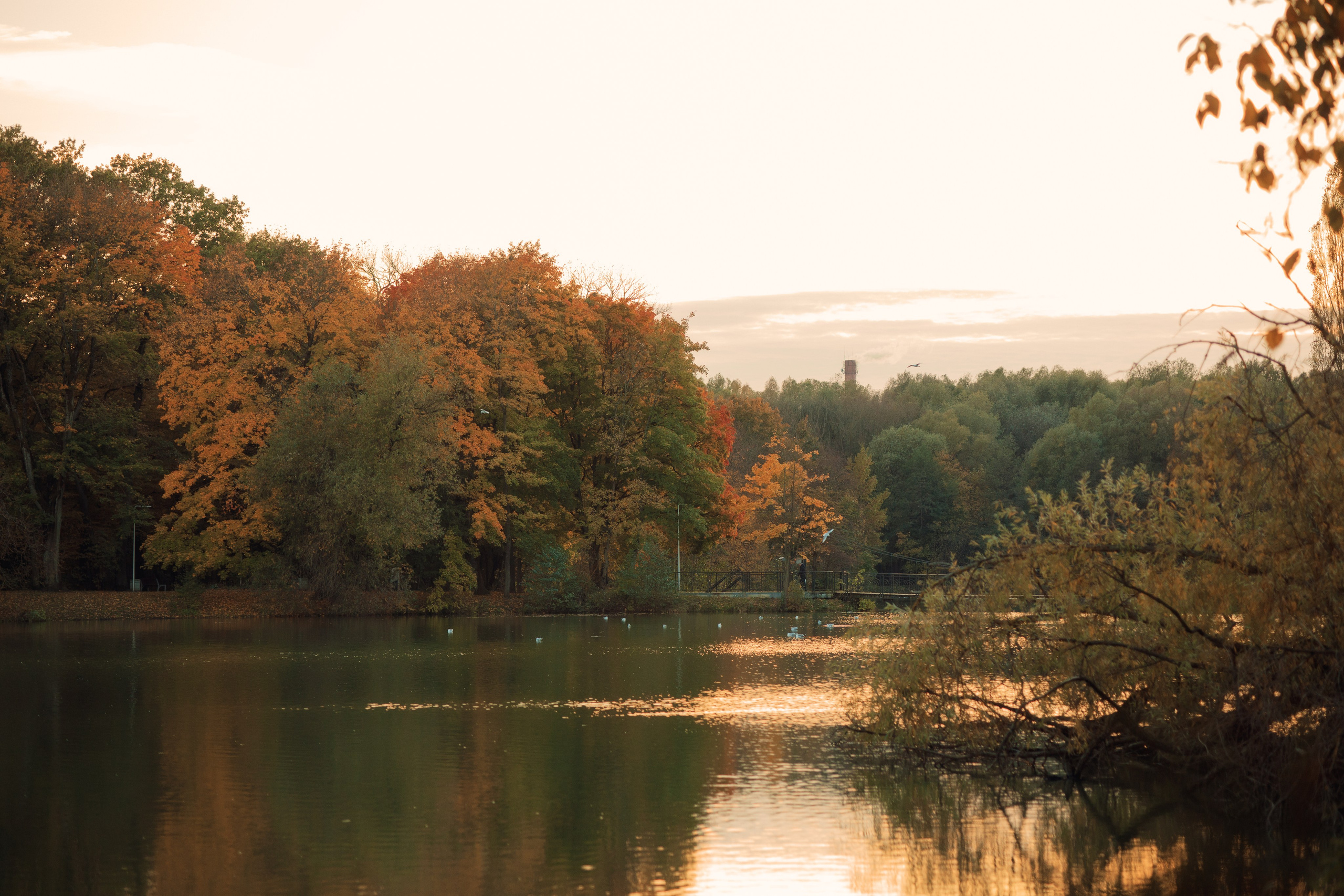 5 причин провести осеннюю съёмку на природе. Семейный фотограф в Калининграде Надежда Гриднева