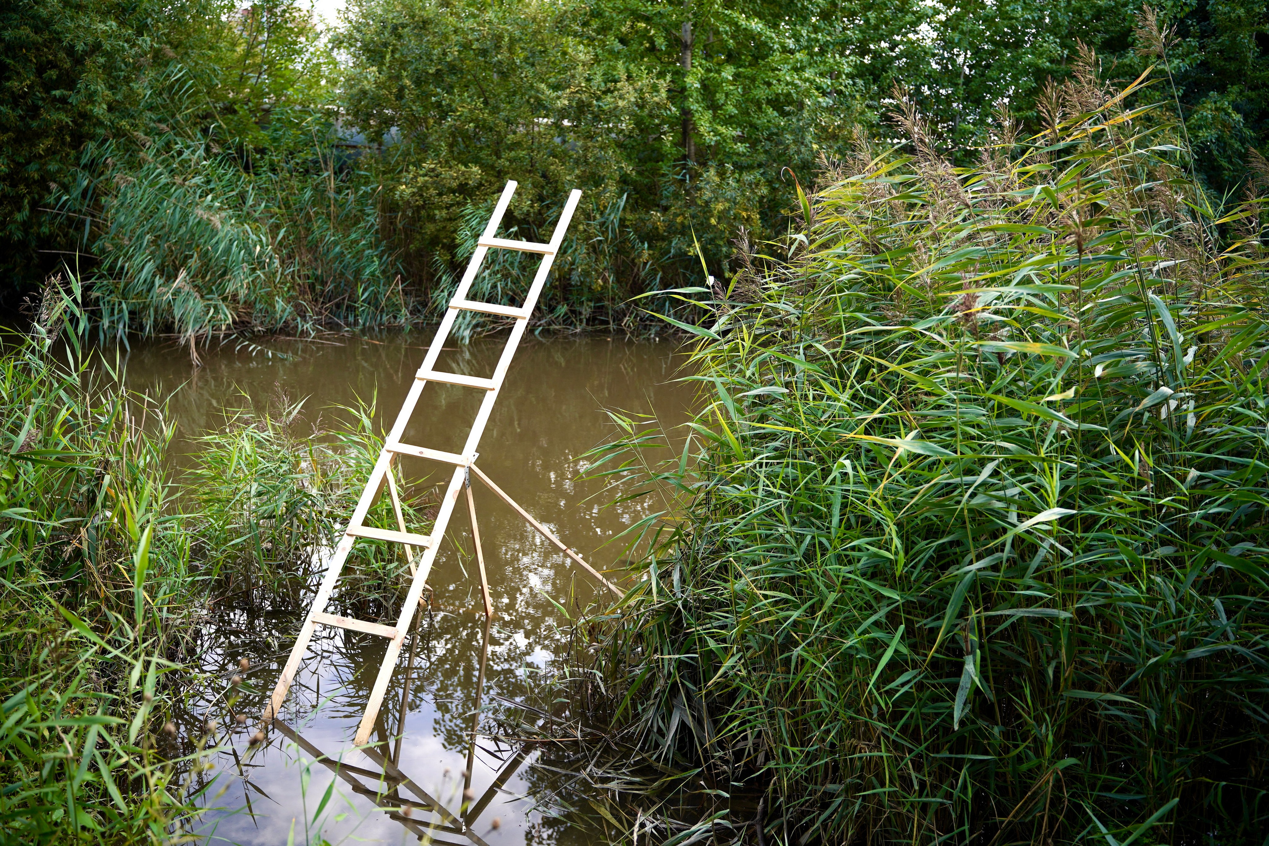 Лестница. Mikhail Kurganov
