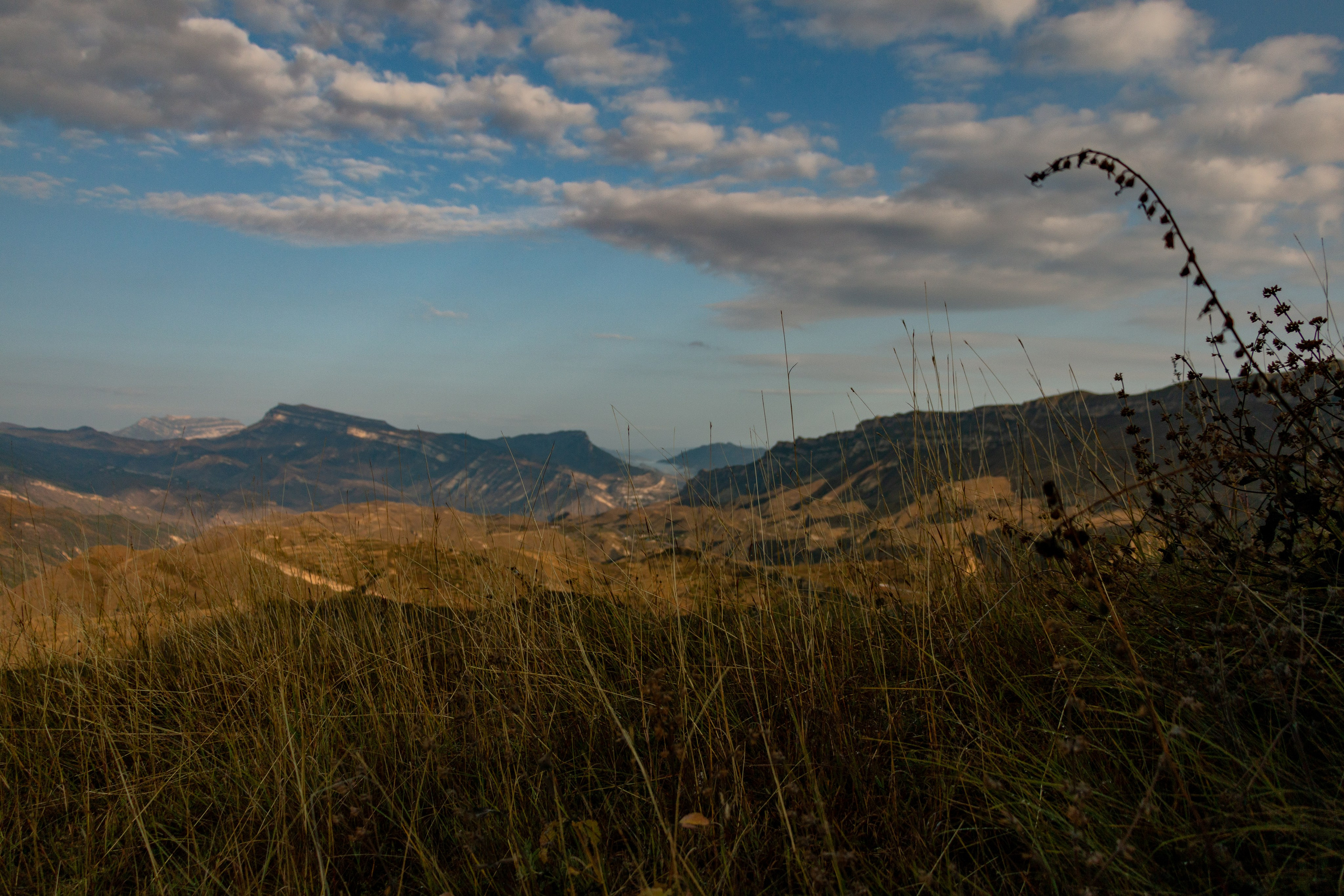 Фотограф в Сочи