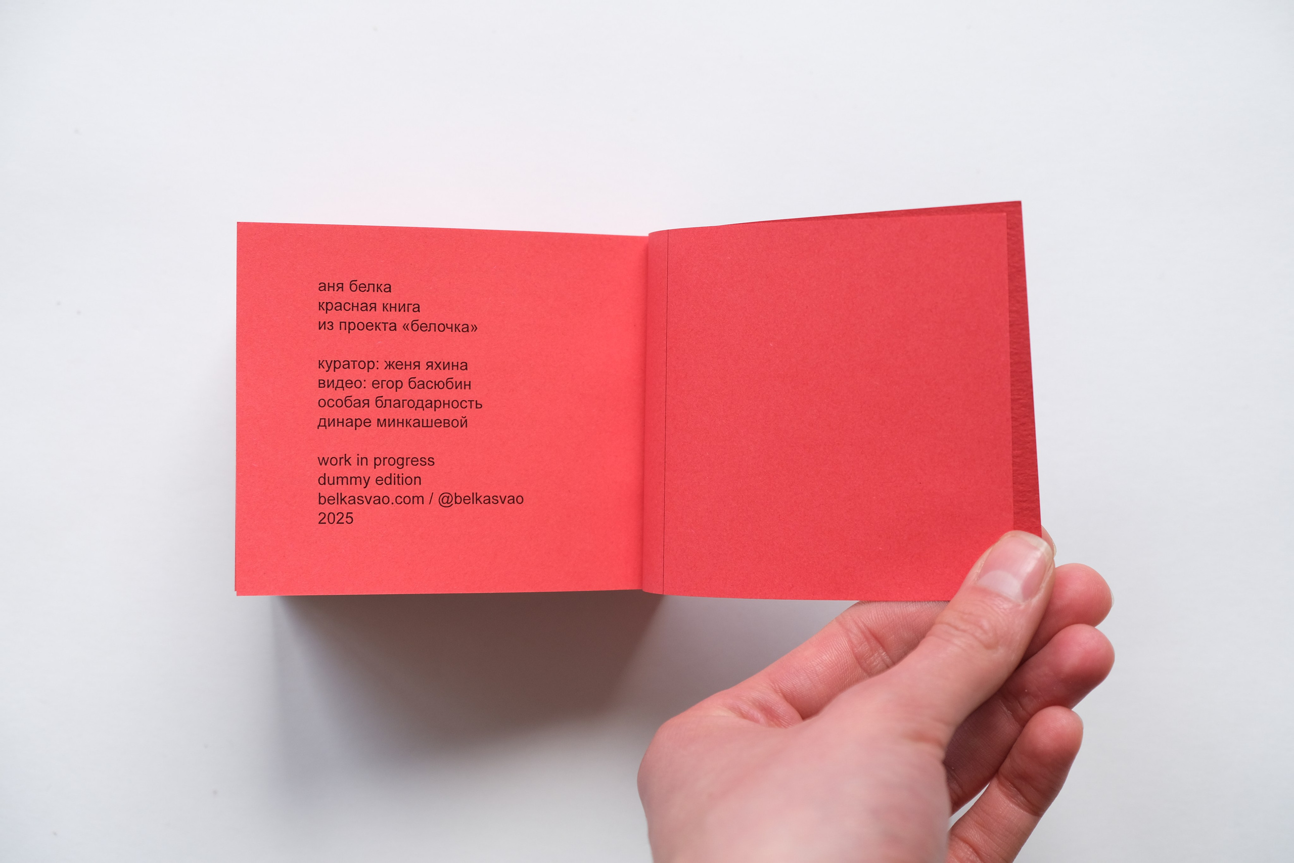 Белочка [видео/книга/объект]. Аня белка — художница и фотограф