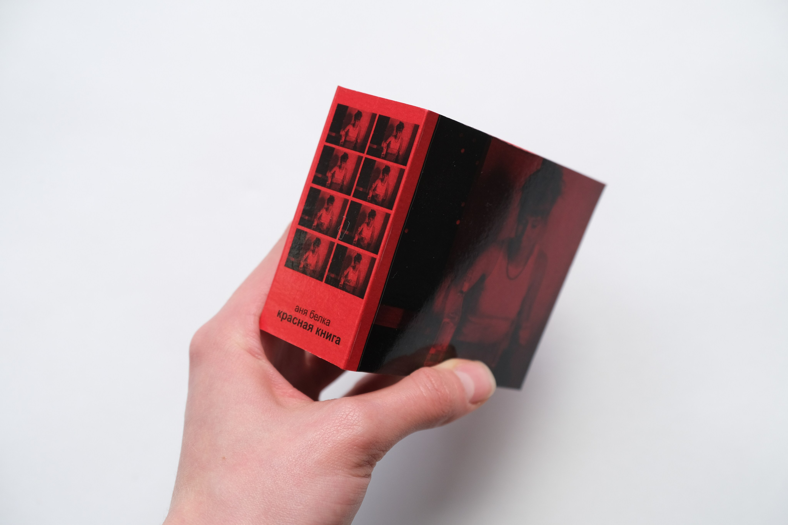 Белочка [видео/книга/объект]. Аня белка — художница и фотограф