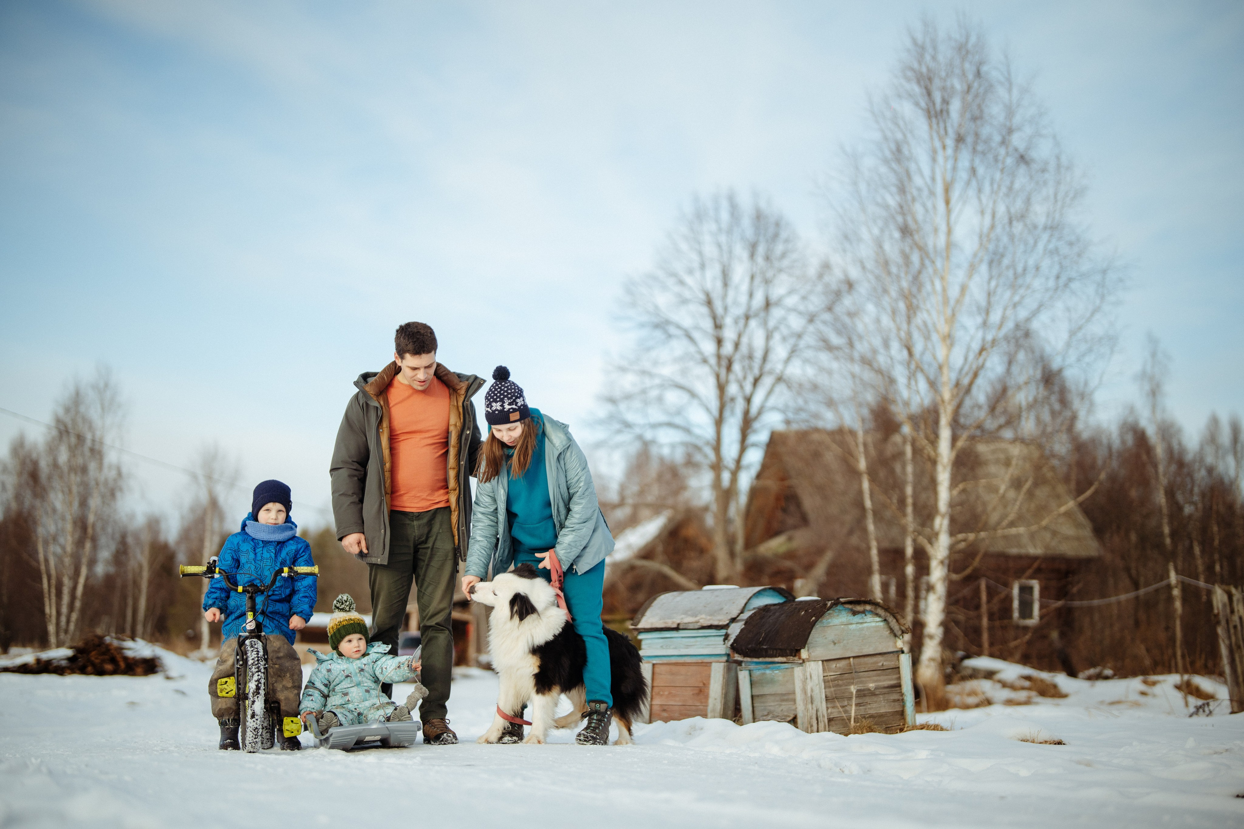 Сюжет № 3│Медвежий Угол Шариковых