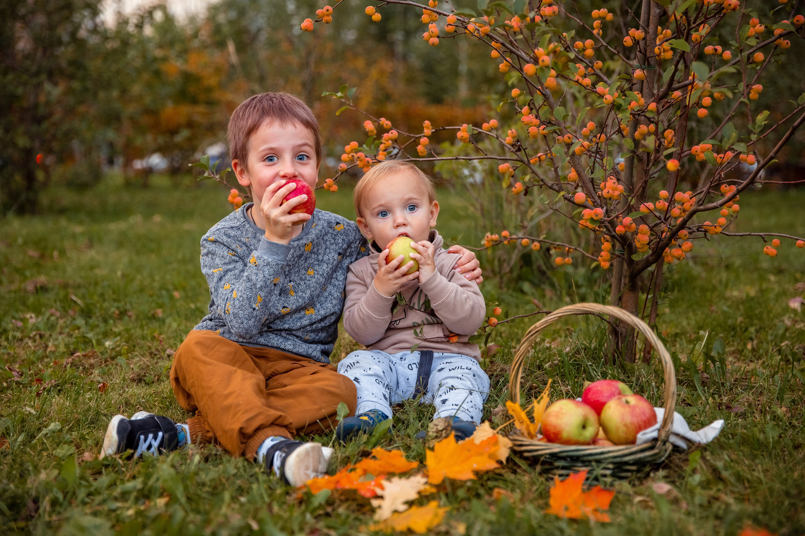 Где погулять осенью в Лобне?. Дарья Бухреева — фотограф, видеограф и фототерапевт. Москва и мир