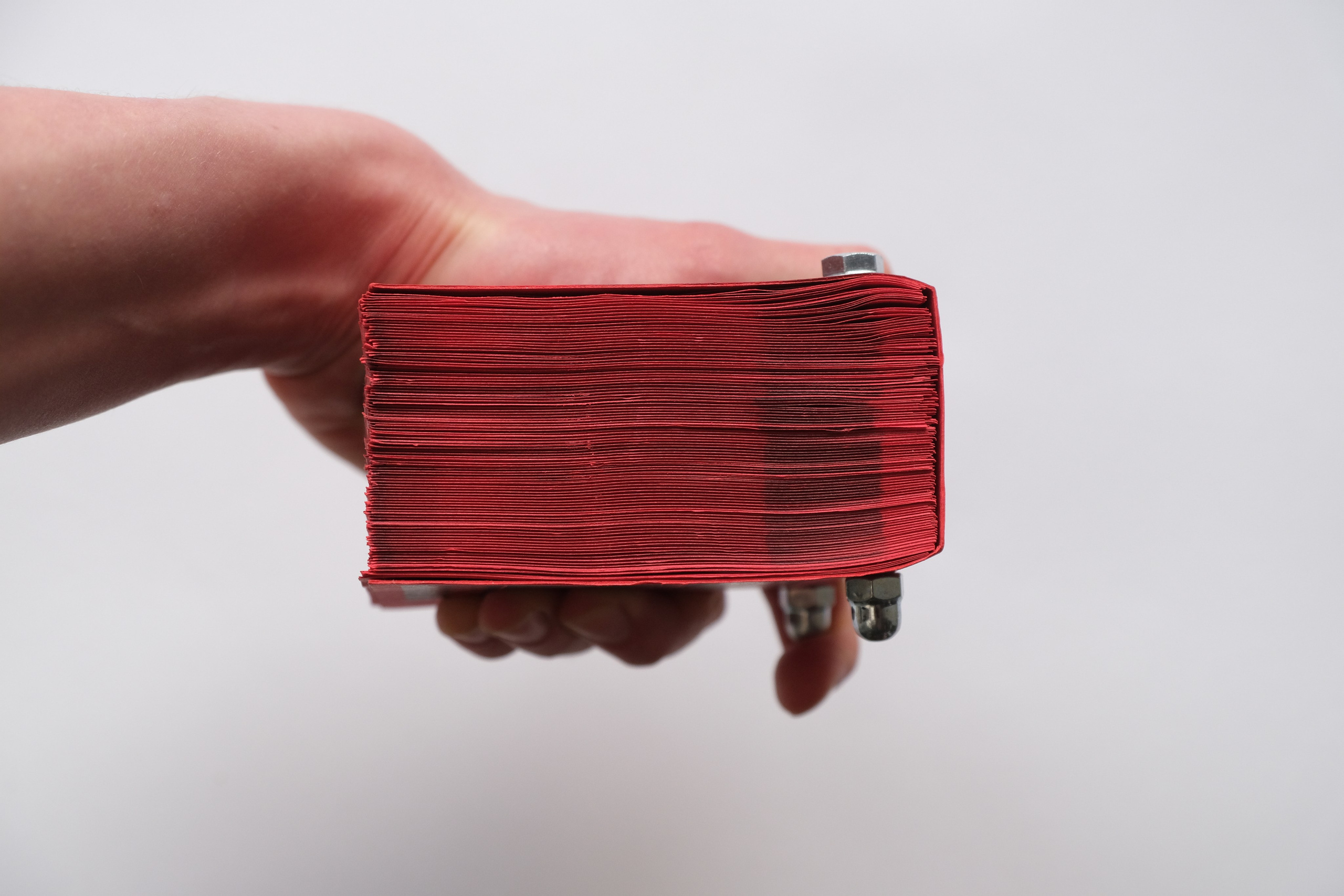 Белочка [видео/книга/объект]. Аня белка — художница и фотограф