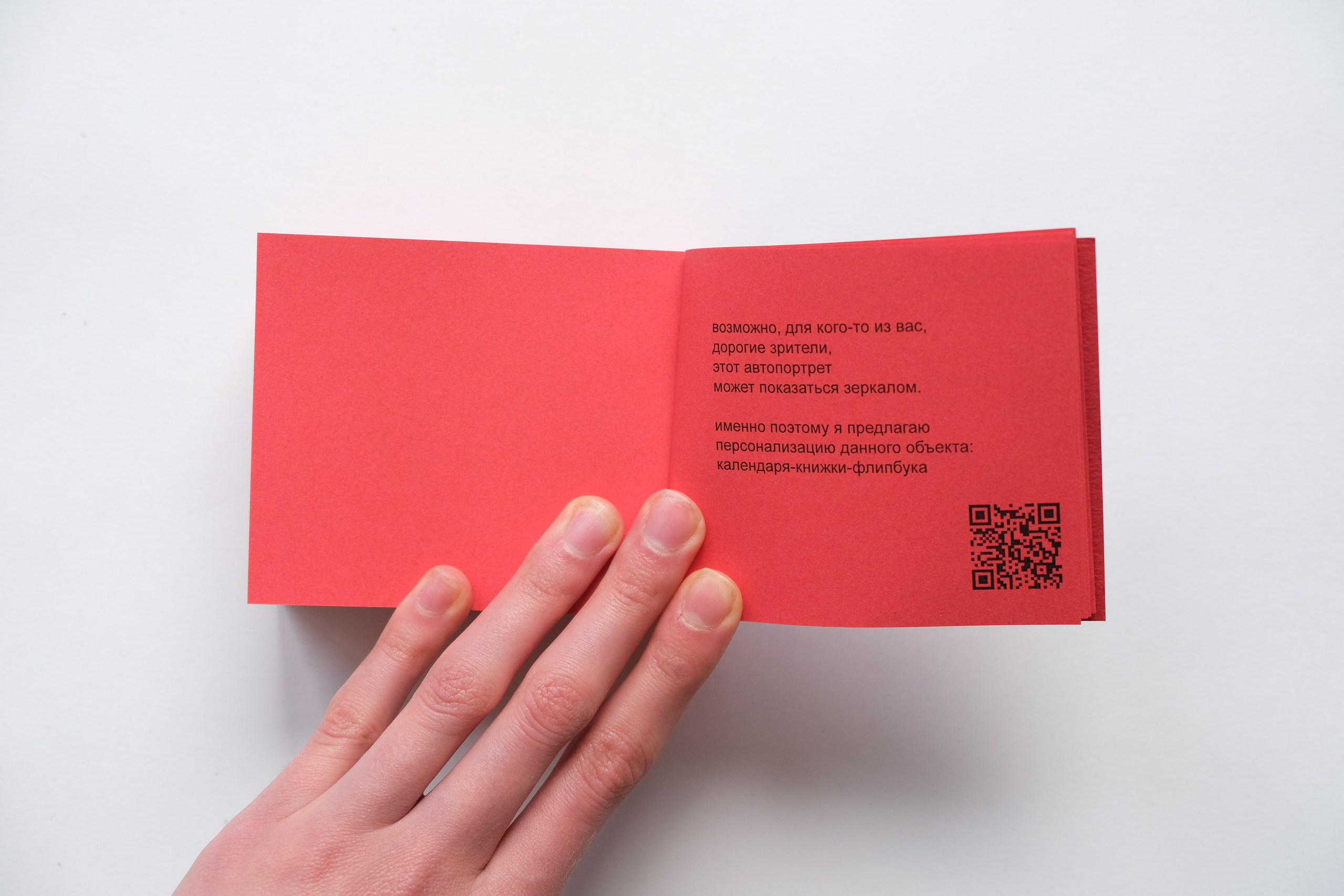 Белочка [видео/книга/объект]. Аня белка — художница и фотограф