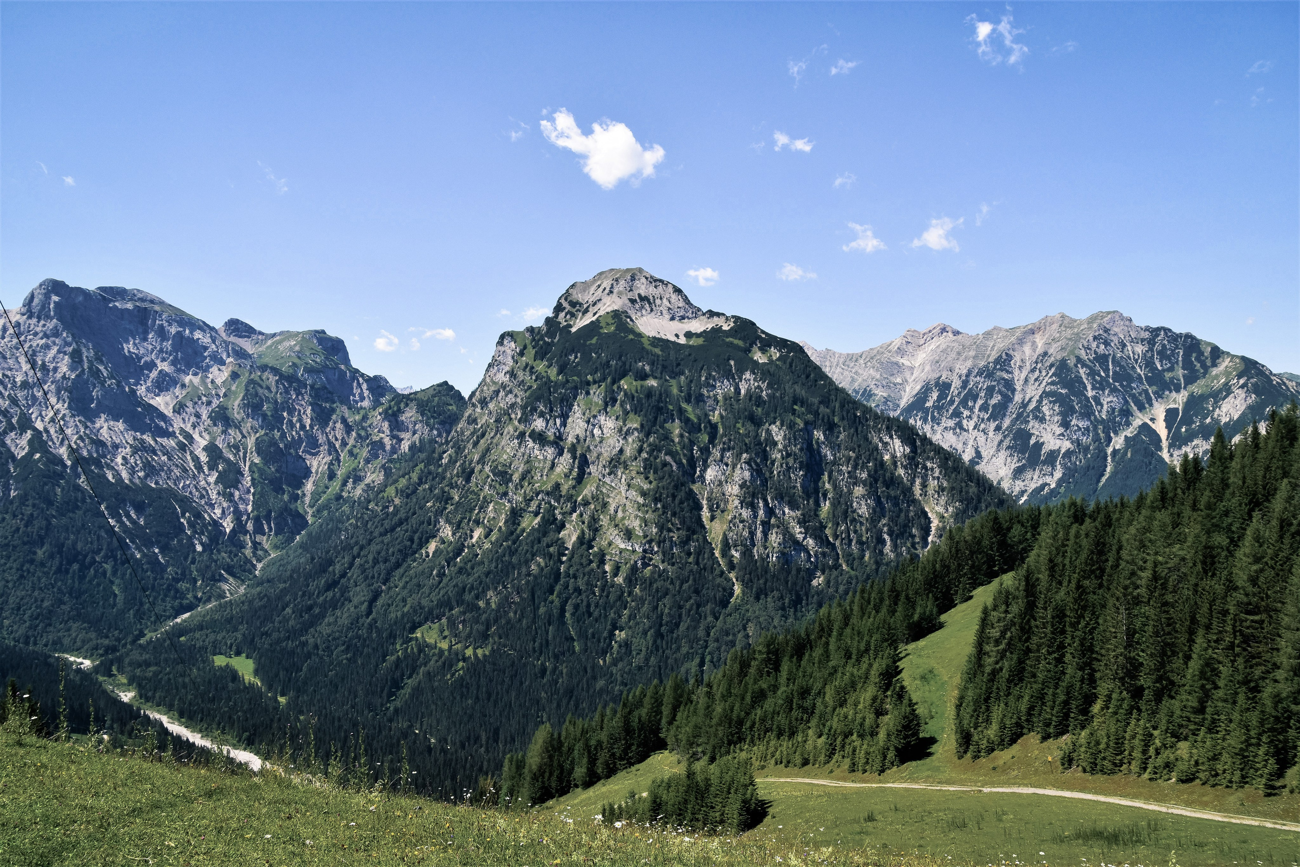 Горы и лес, обработанный с помощью стиля, созданного для Adobe Photoshop в Claude AI