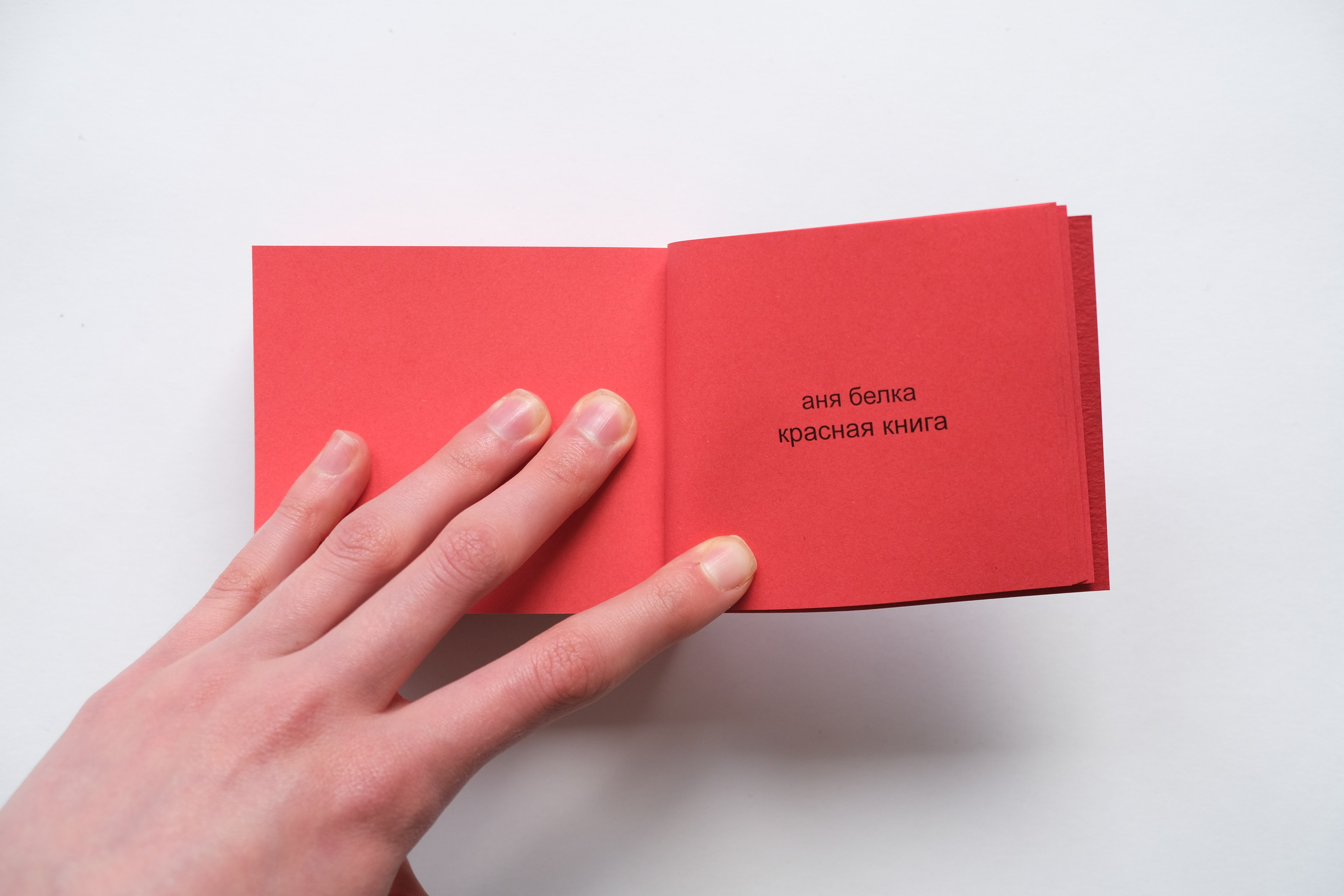 Белочка [видео/книга/объект]. Аня белка — художница и фотограф