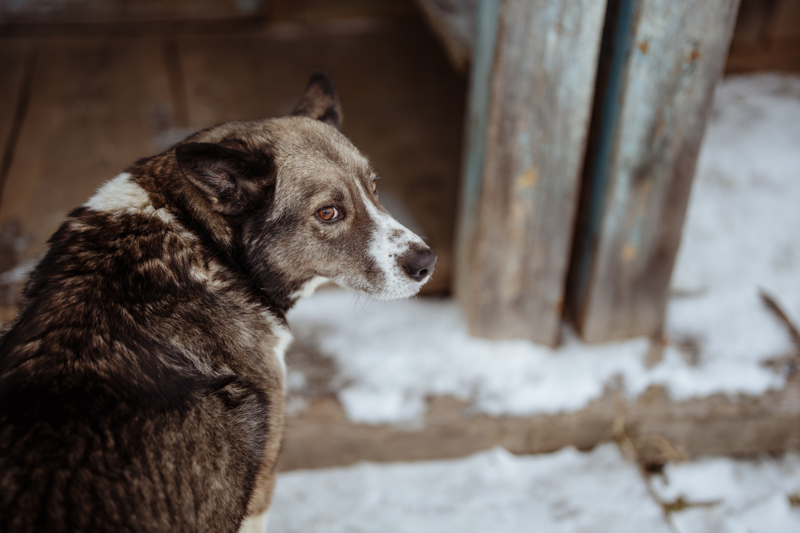 Сюжет № 1│Камланье