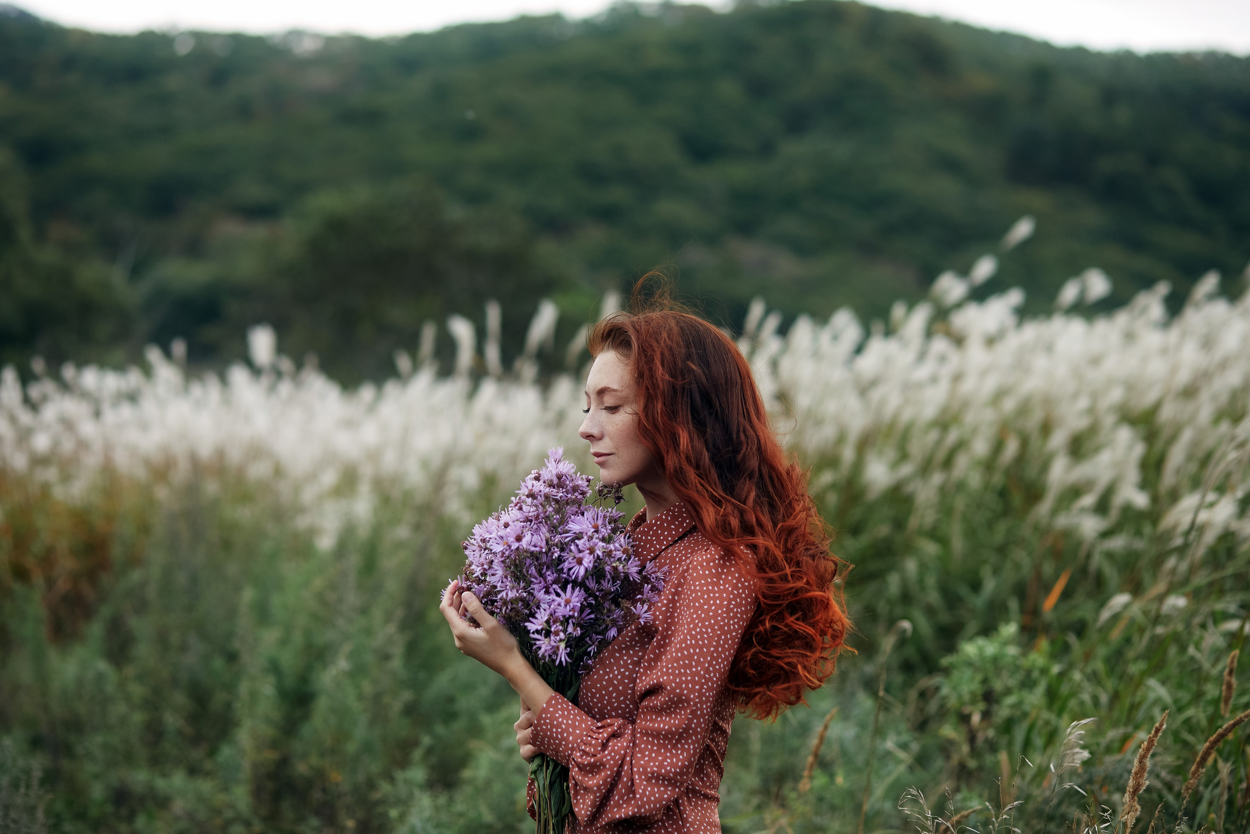 Цветочный сезон в Находке - продолжительность, виды цветущих растений