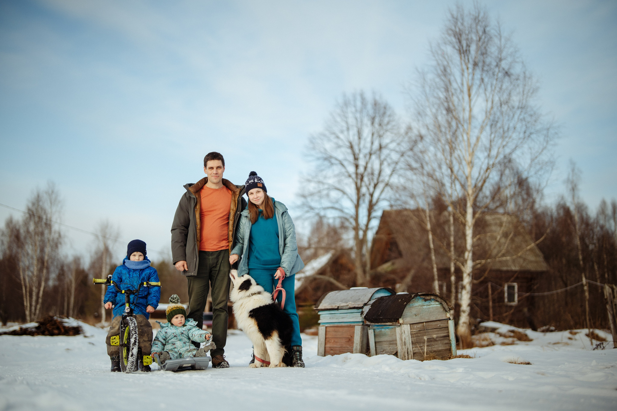 Сюжет № 3│Медвежий Угол Шариковых