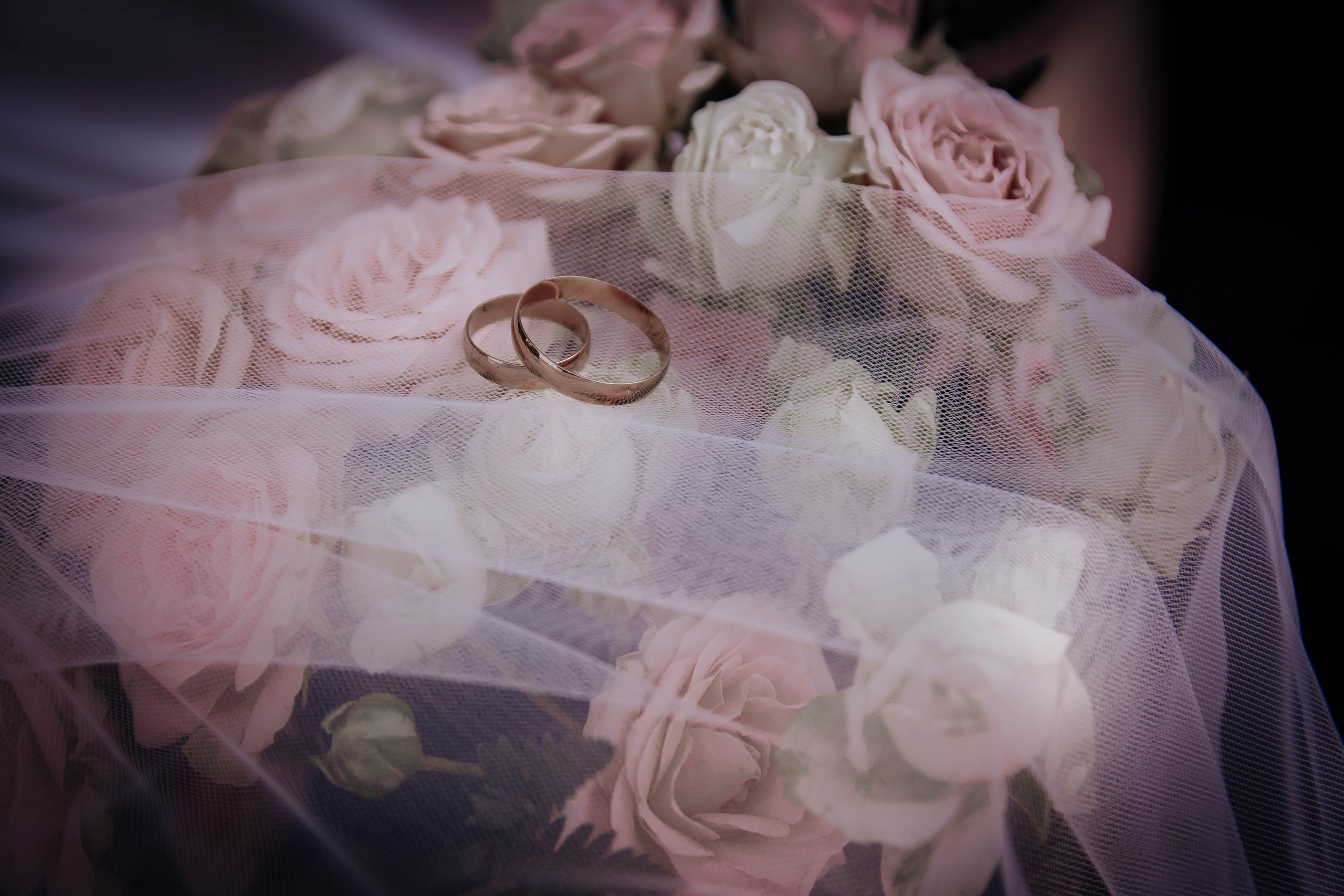 Фотографы. Организатор праздников. Ведущая Марина Гребенникова