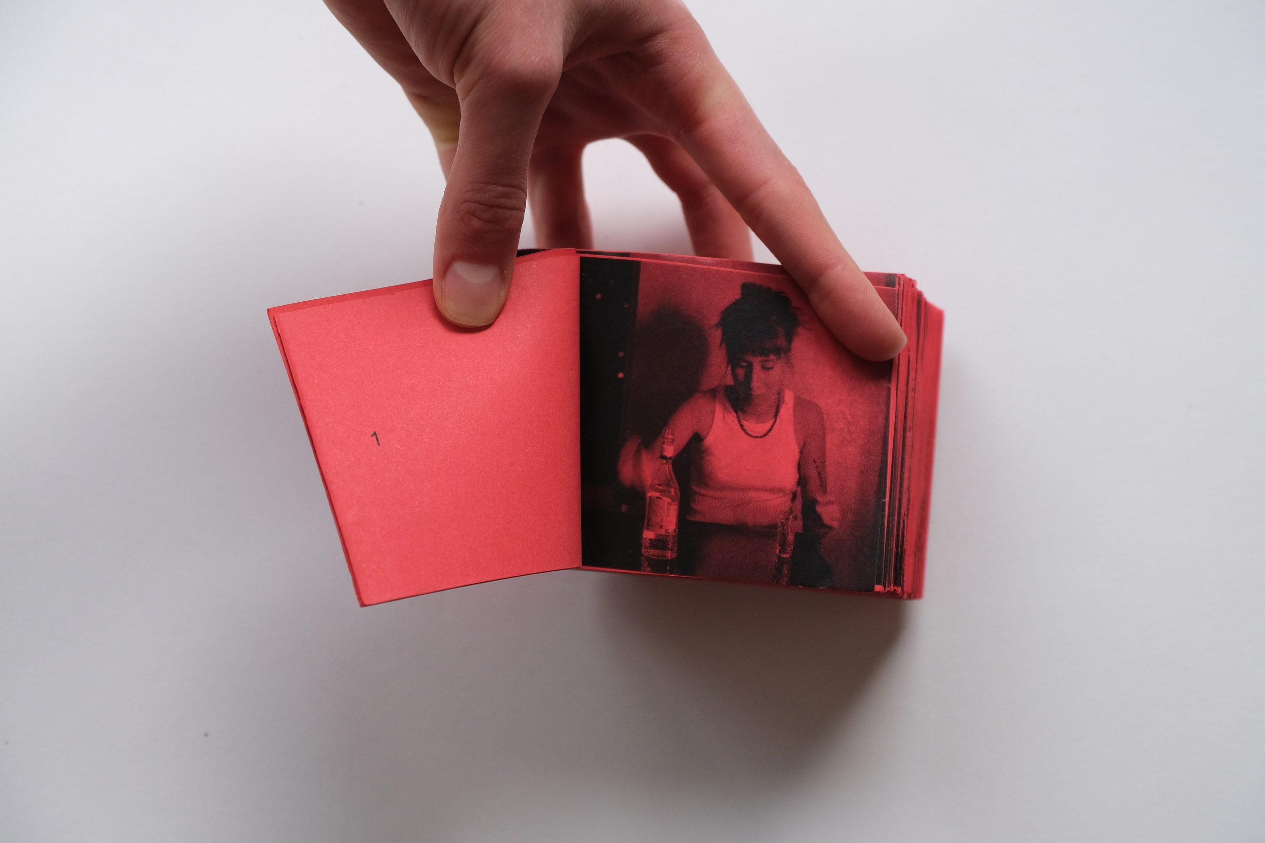 Белочка [видео/книга/объект]. Аня белка — художница и фотограф