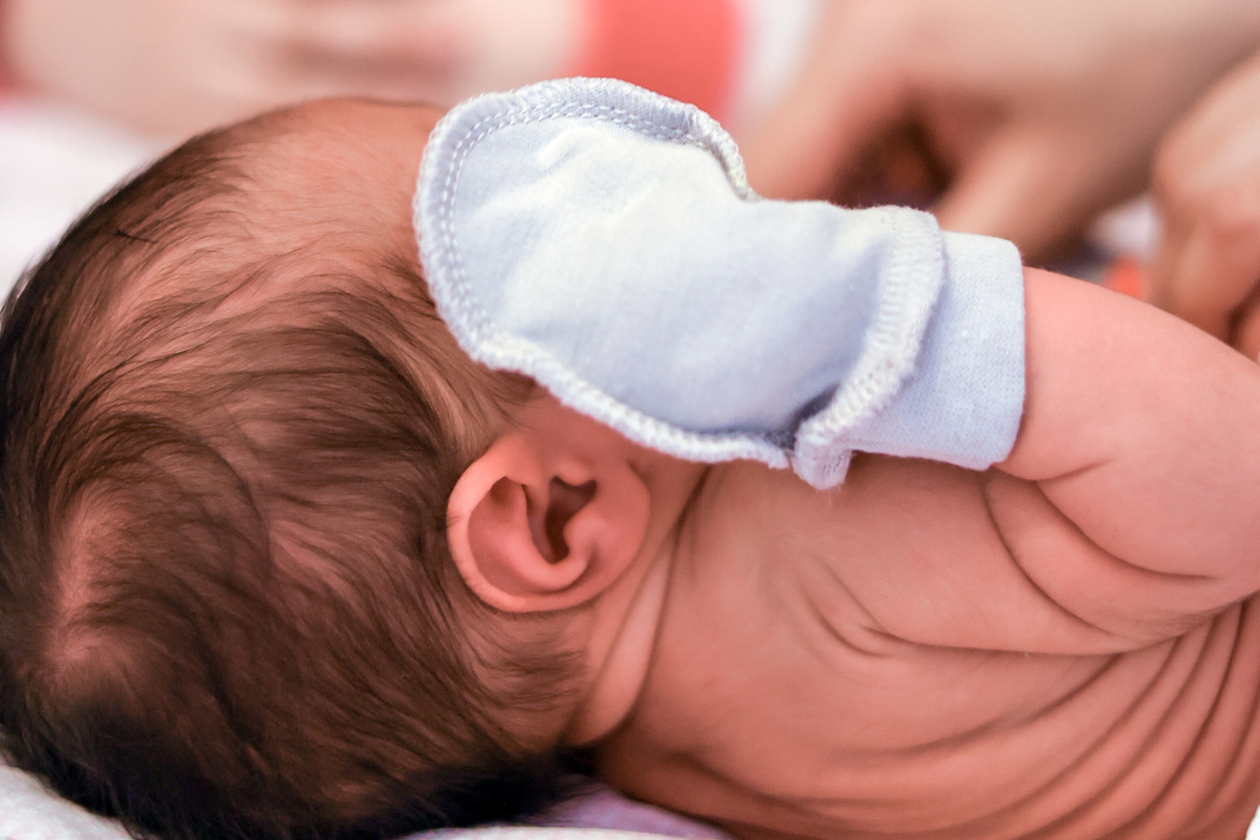 Услуги. Свадебный и семейный фотограф в Абхазии Эля Цишба