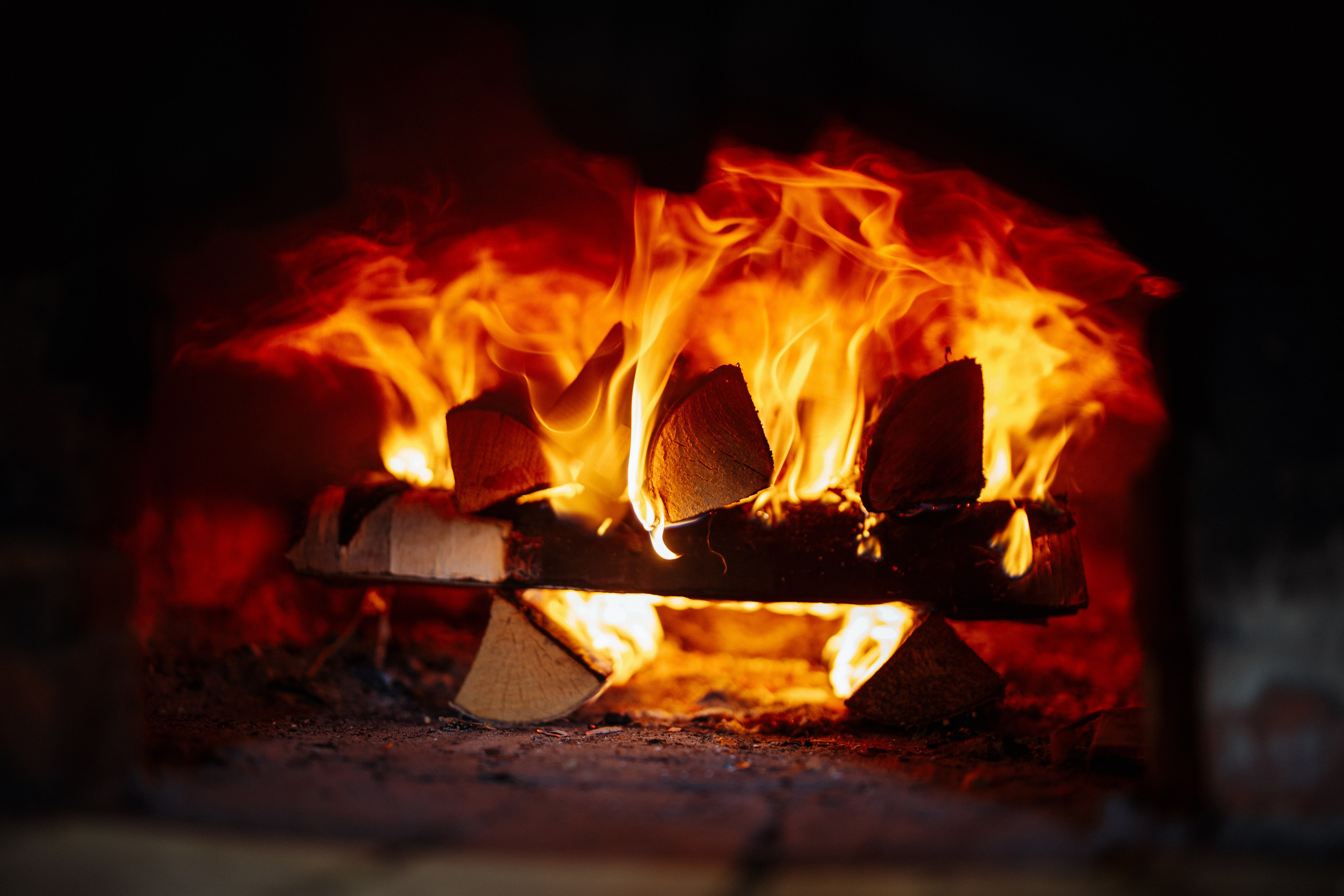 Сюжет № 3│Медвежий Угол Шариковых