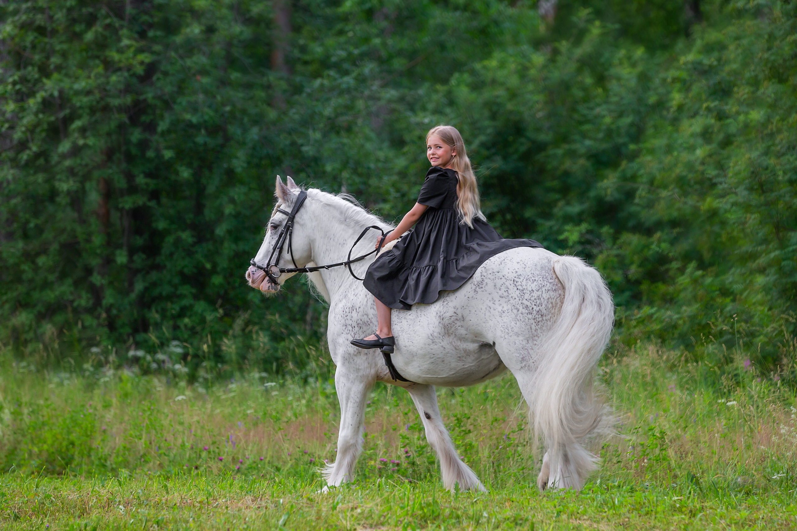 Фотосессия с лошадью, Фото с лошадью, конный фотограф екатеринбург, заказать фотосессию с лошадью, фотосессия, Фотограф Екатеринбург, Фотограф Анималист, Фотограф анималист Екатеринбург