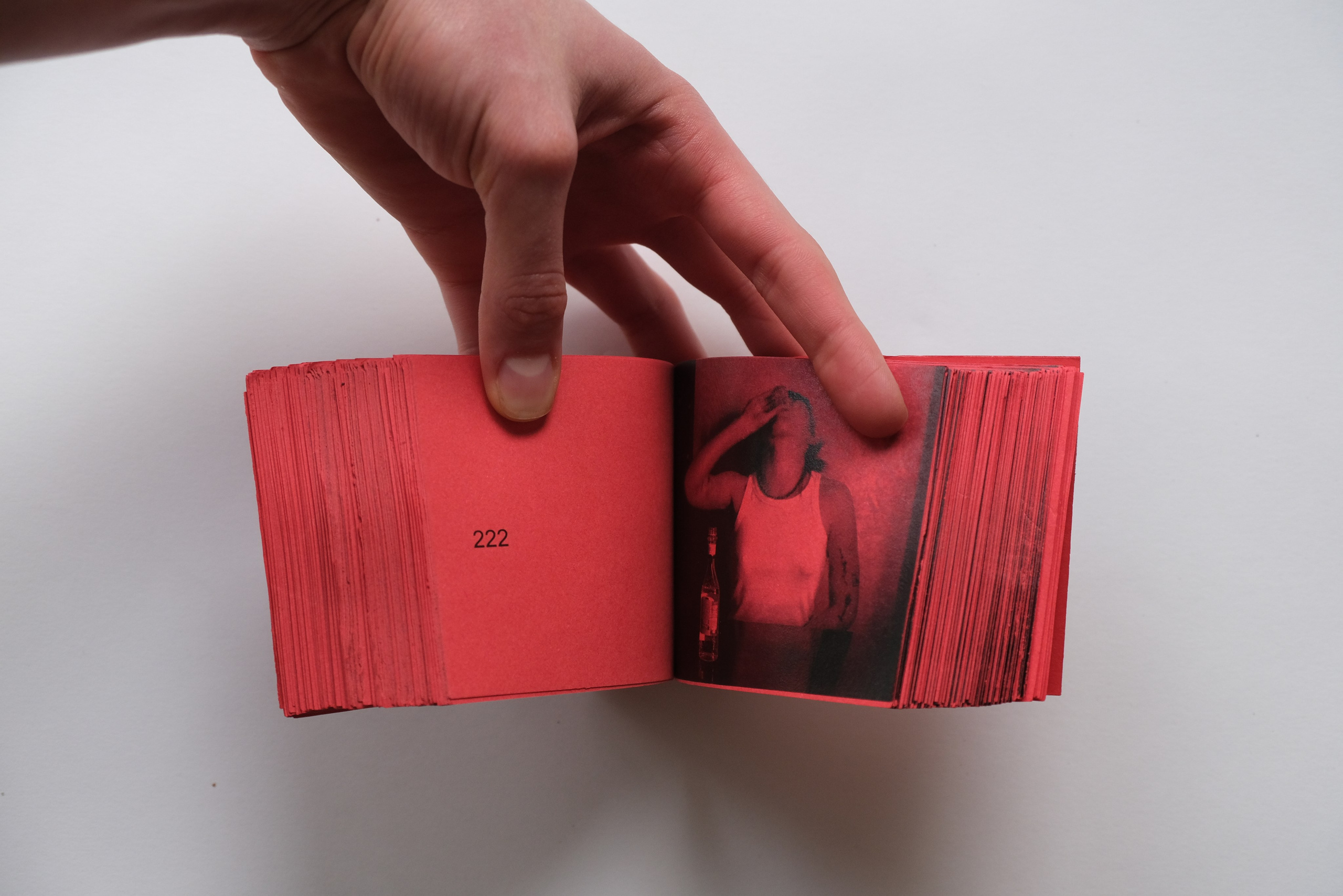 Белочка [видео/книга/объект]. Аня белка — художница и фотограф