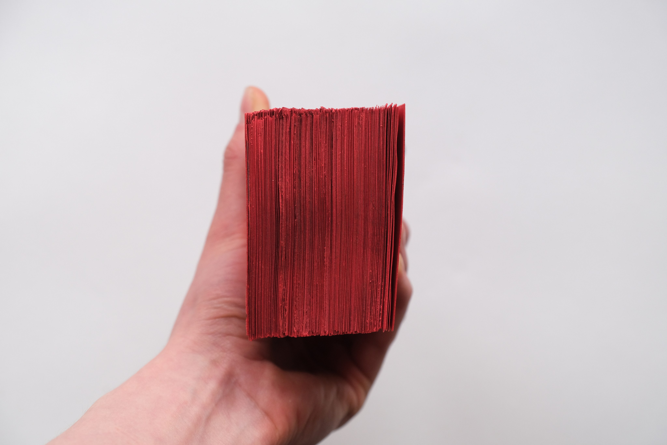 Белочка [видео/книга/объект]. Аня белка — художница и фотограф