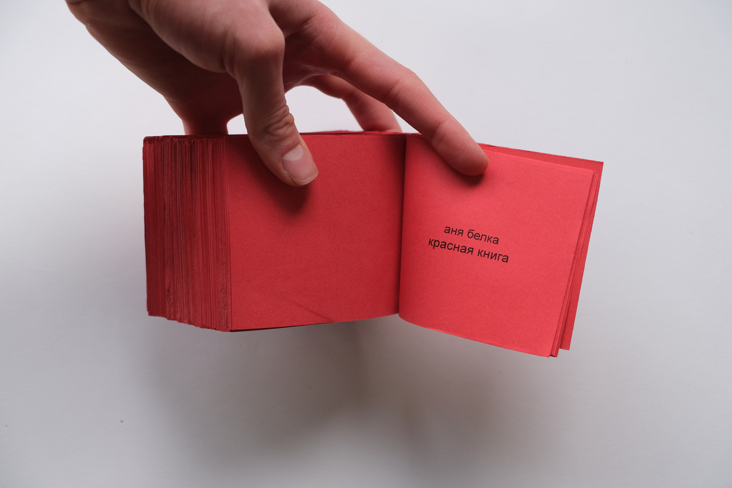 Белочка [видео/книга/объект]. Аня белка — художница и фотограф