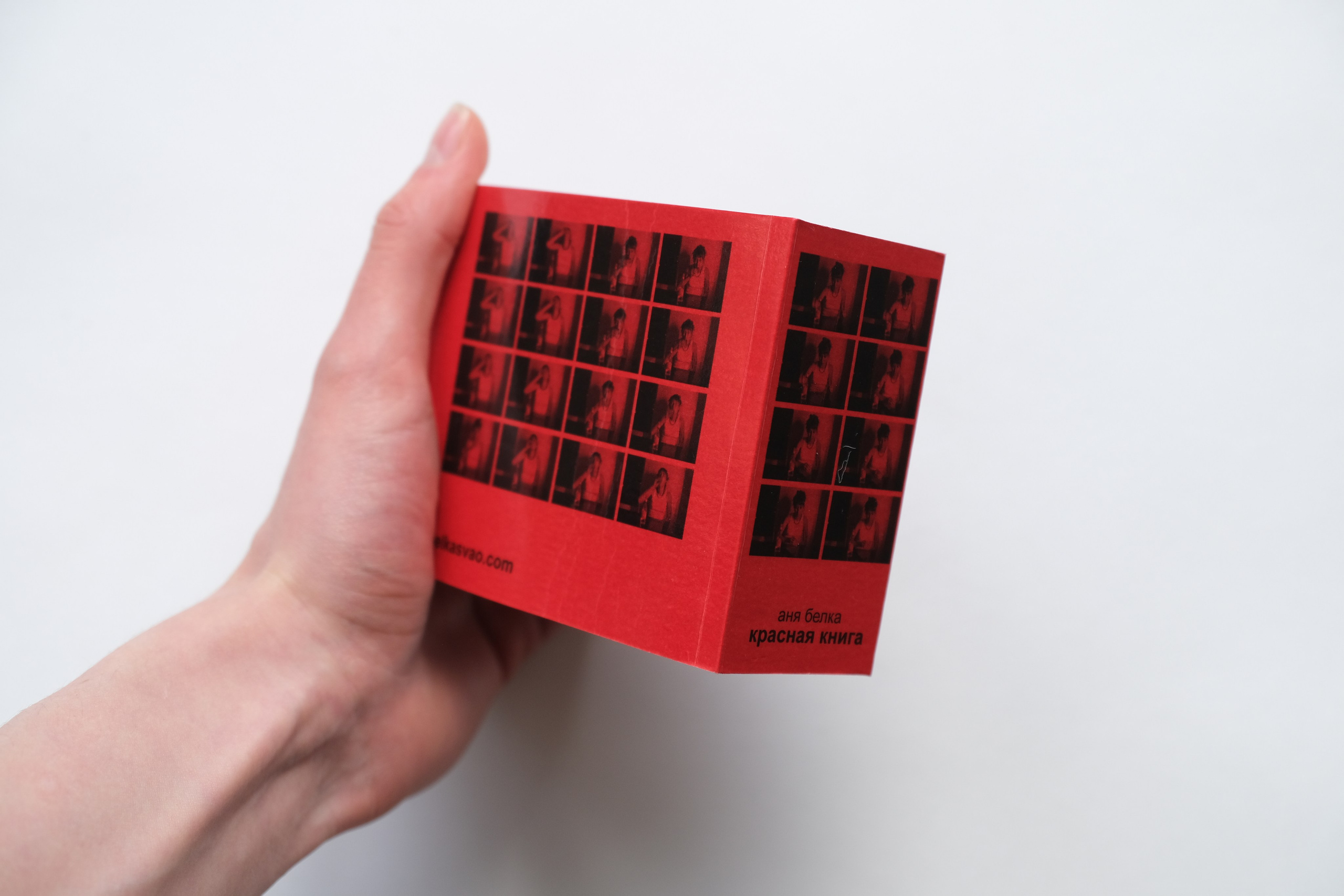 Белочка [видео/книга/объект]. Аня белка — художница и фотограф