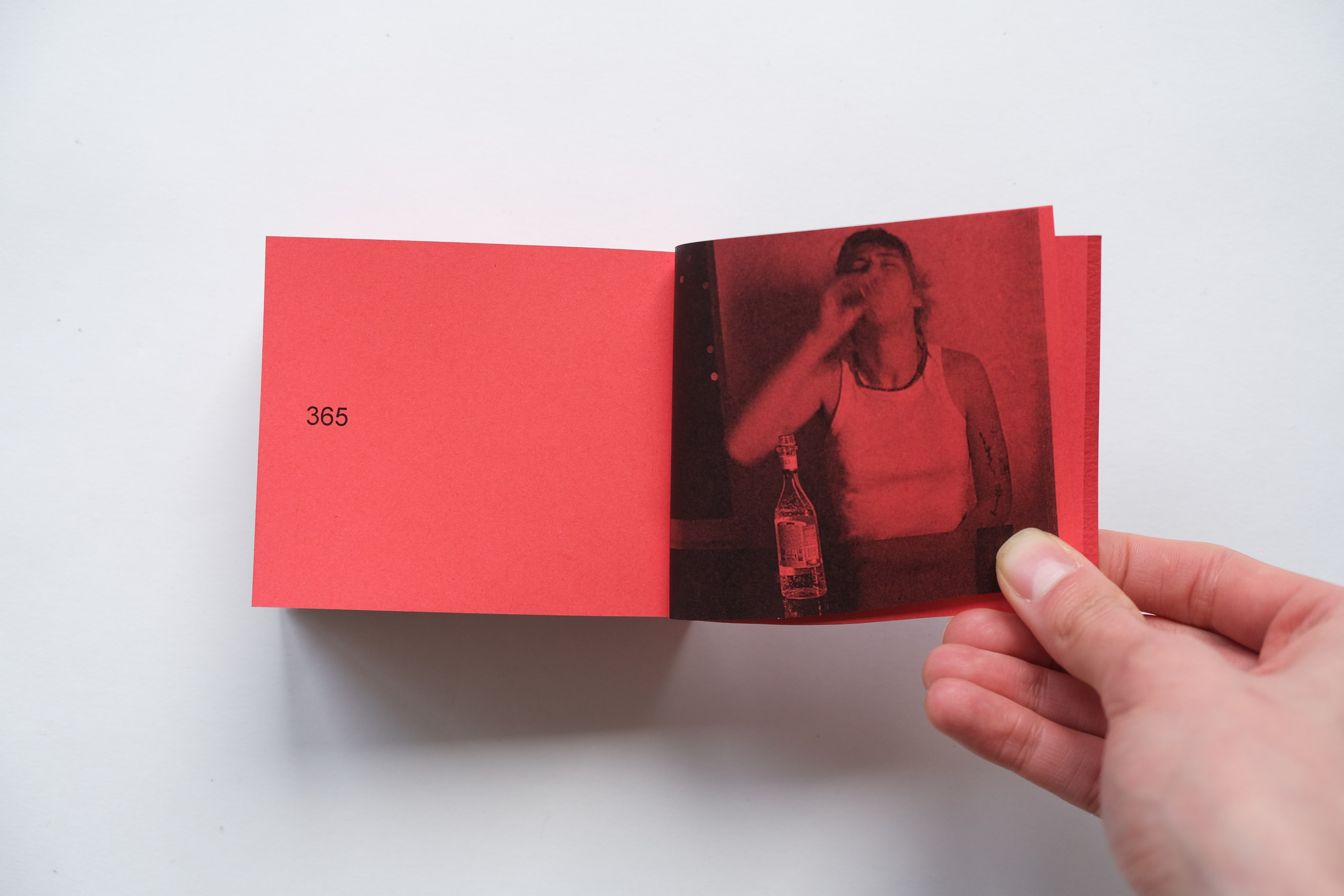 Белочка [видео/книга/объект]. Аня белка — художница и фотограф