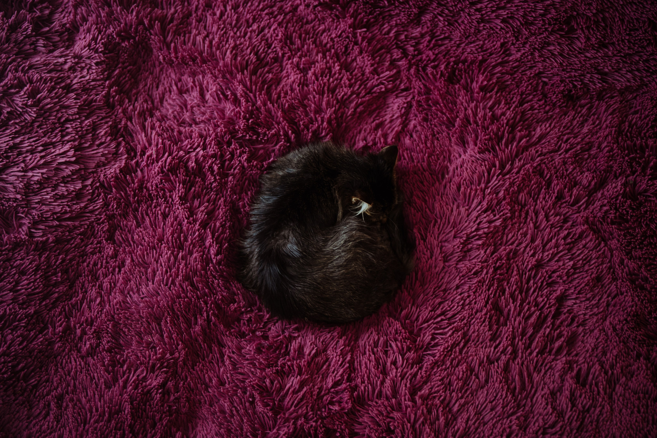 Сюжет № 1│Камланье