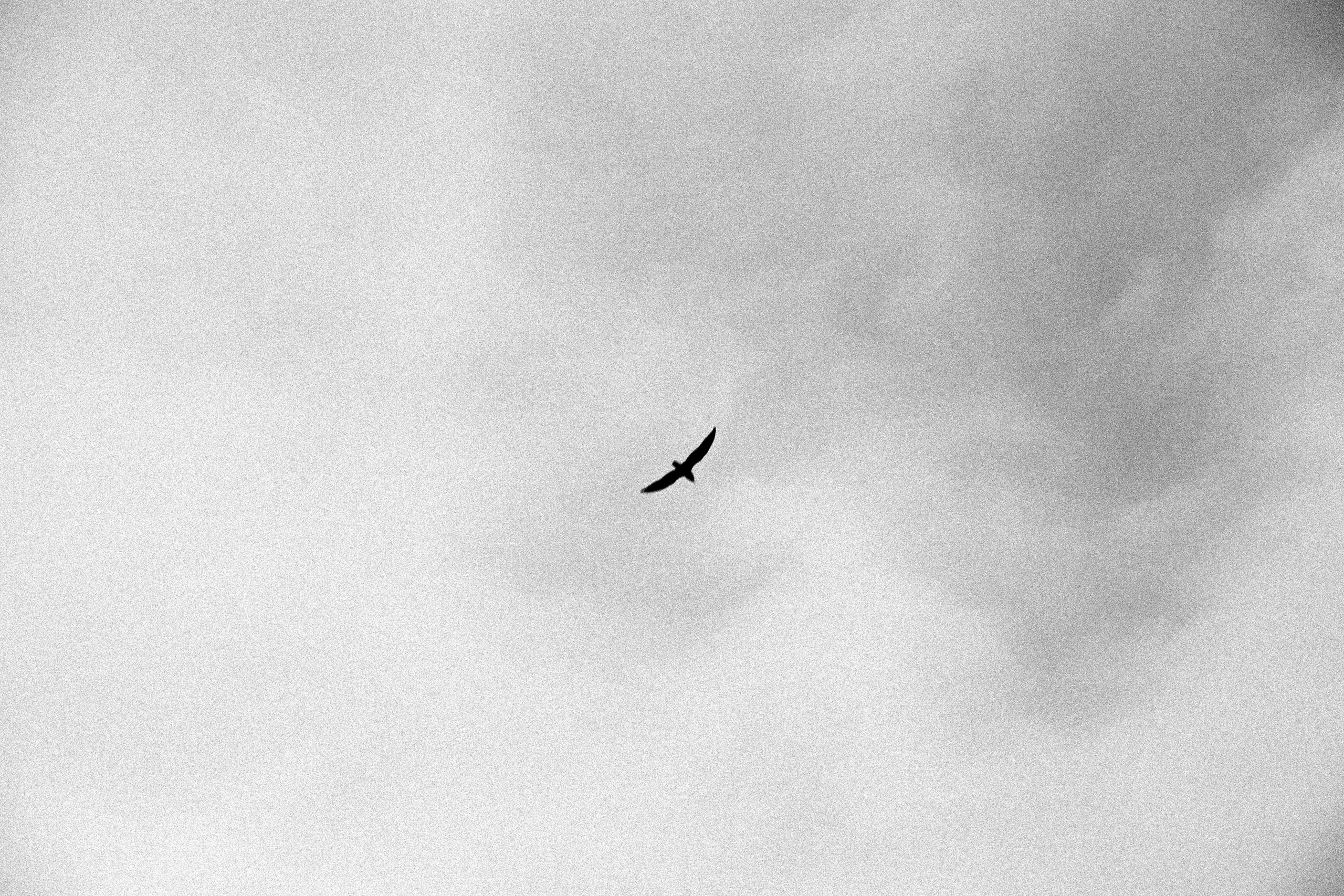 Inner house. Anastasia Shapoval violoniste et photographe. Annecy — Geneve