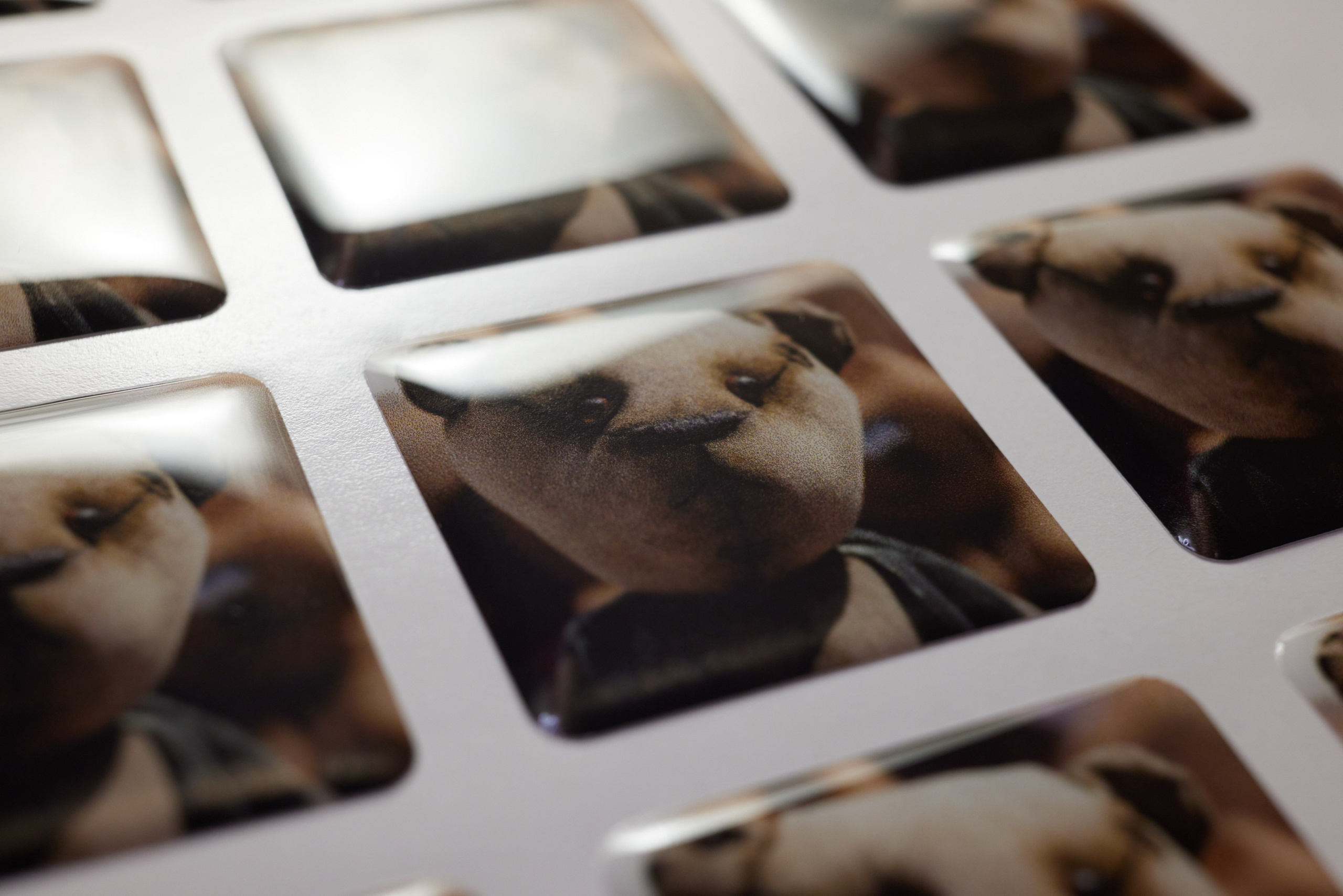 Полимерная этикетка. Имидж Технологии — Производство сувенирных магнитов, заливных этикеток и значков. Репортажная фотография в Кирове Кировской области