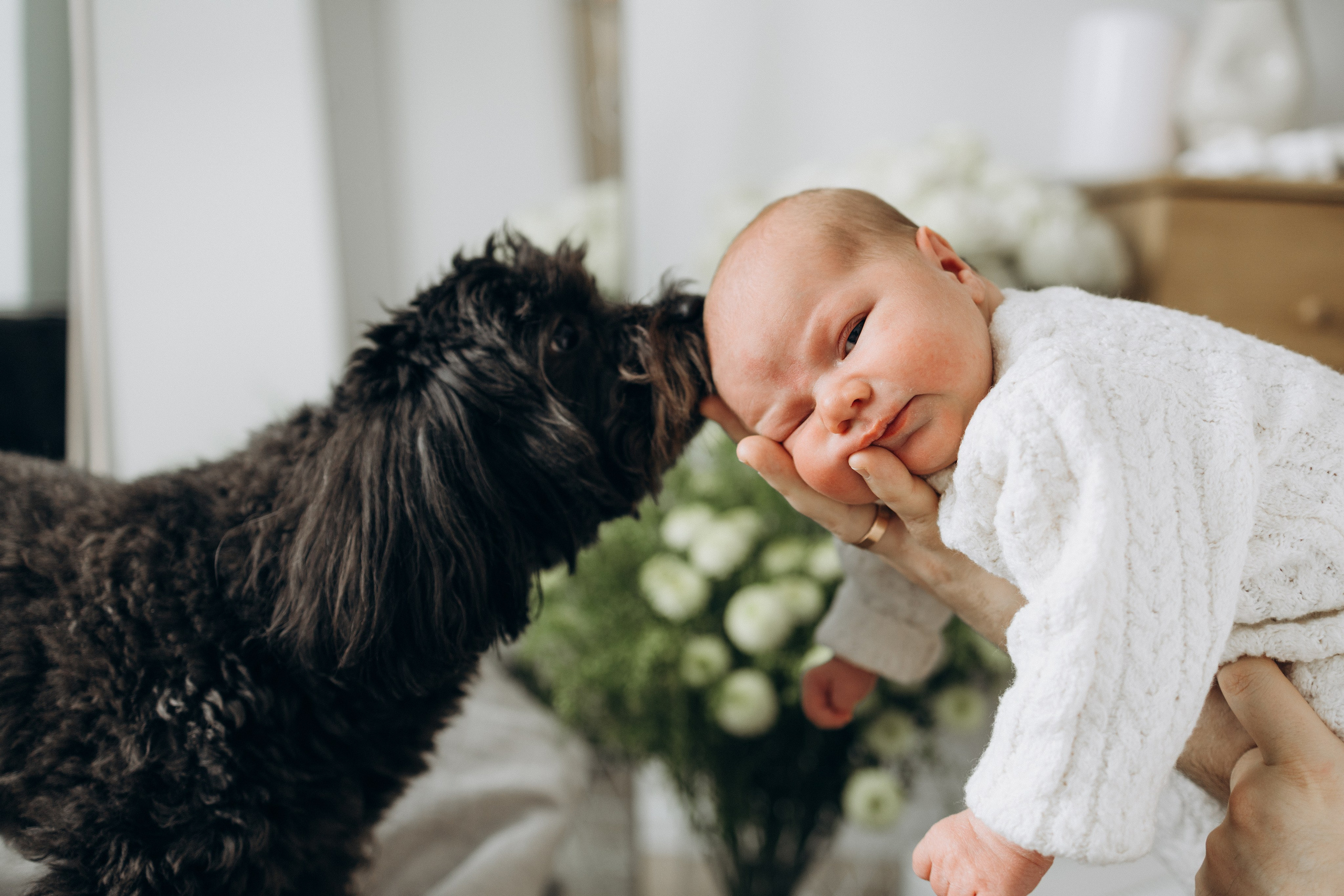 Услуги. Семеный, Детский, Love story фотограф