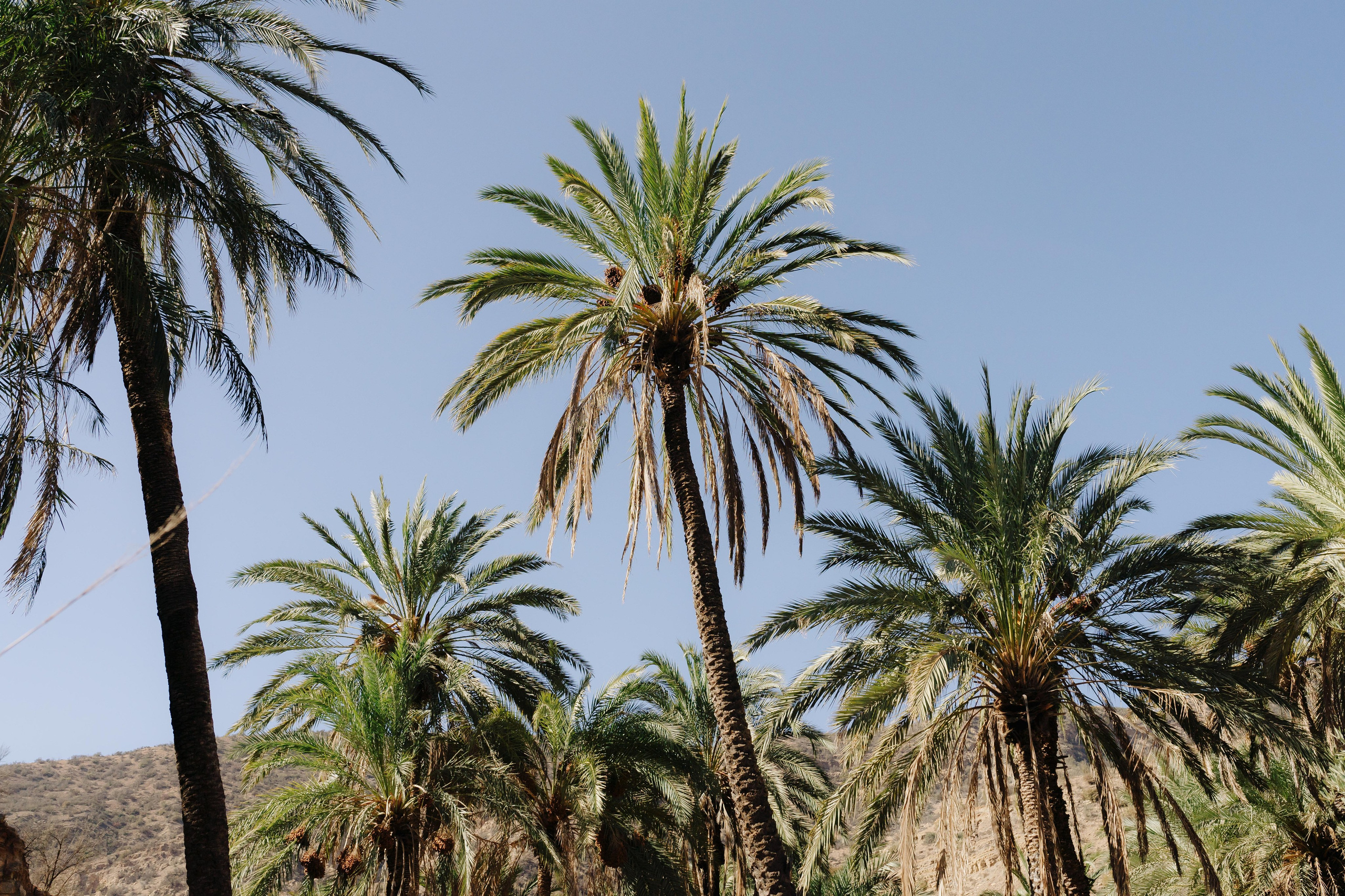 Тревел-репортаж. Фотограф в Праге Александр Пивоваров
