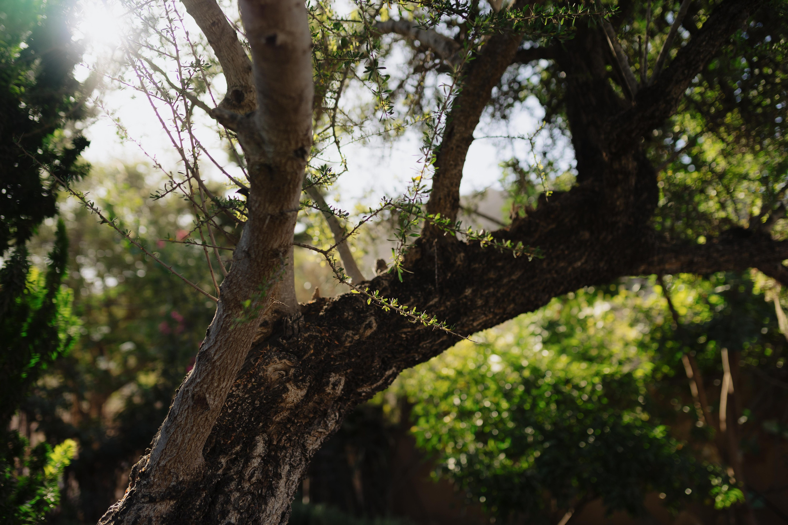 Тревел-репортаж. Фотограф в Праге Александр Пивоваров
