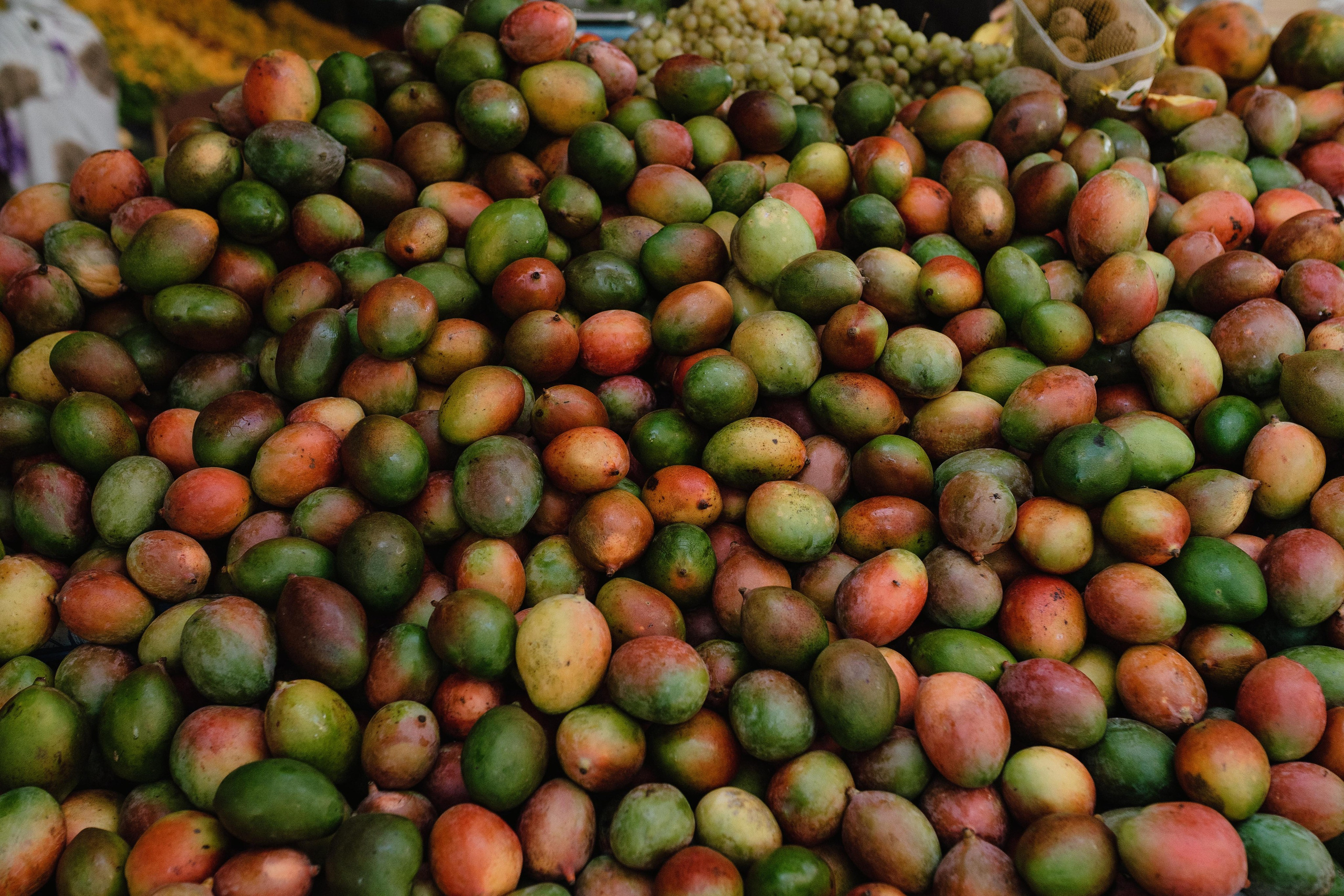 Тревел-репортаж. Фотограф в Праге Александр Пивоваров