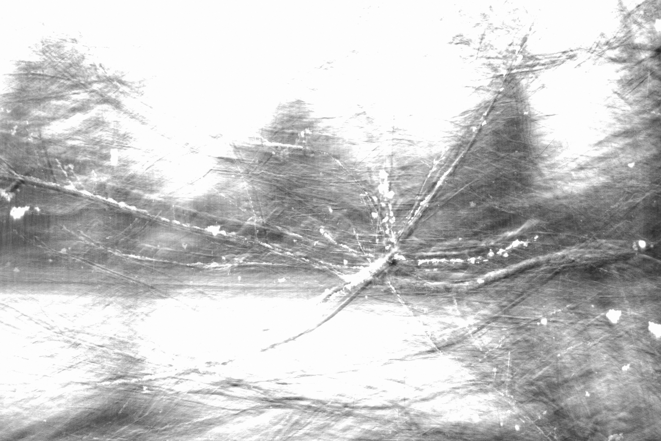 Круг жизни. Пылина Ирина — современная фотография