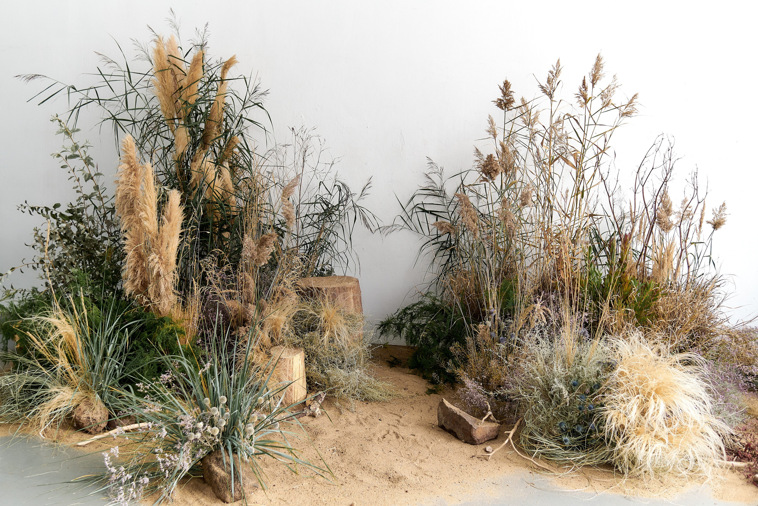 Найти декоратора на съёмку. Флористика и декор в Минске, Санкт-Петербурге, Москве