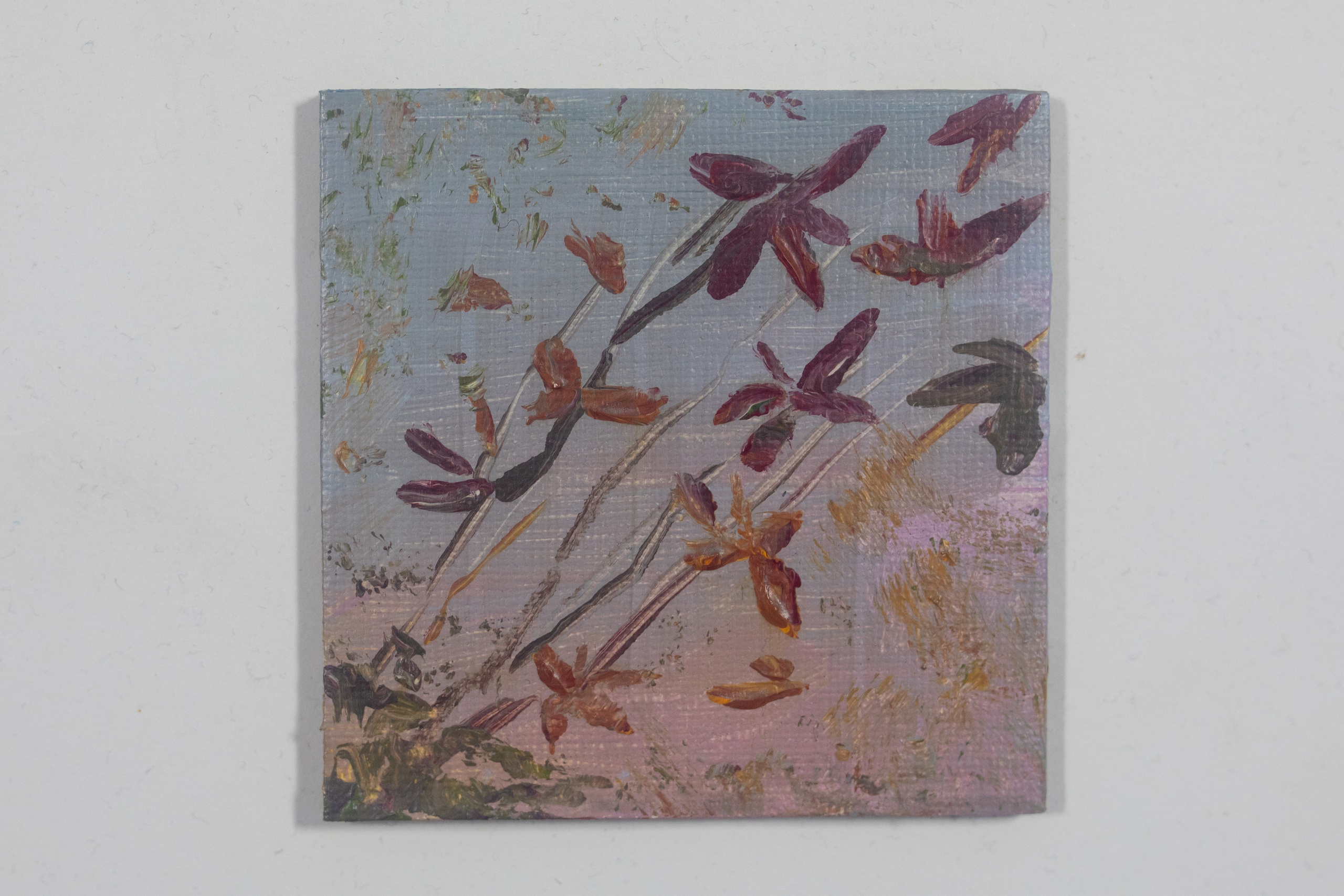 Магазин. Фотограф Елена Богачева (lenalena_na_na_na)