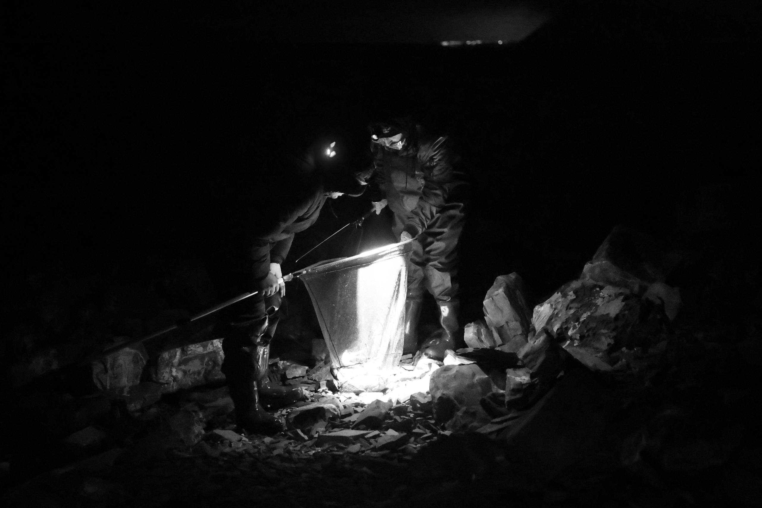 Фотовыставка «Черное море» | nasa loseva